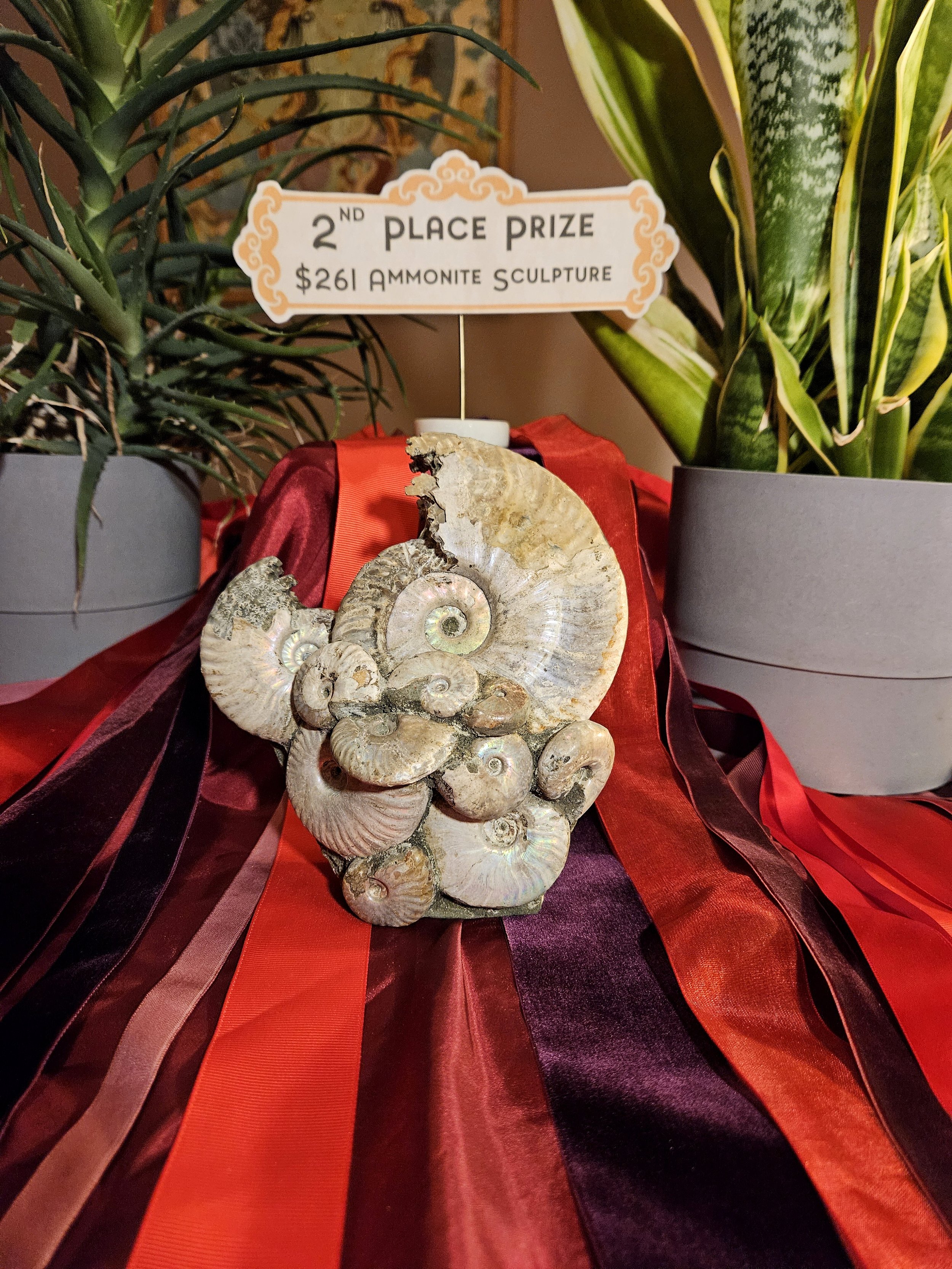 2nd Place Prize: $261 Ammonite Sculpture