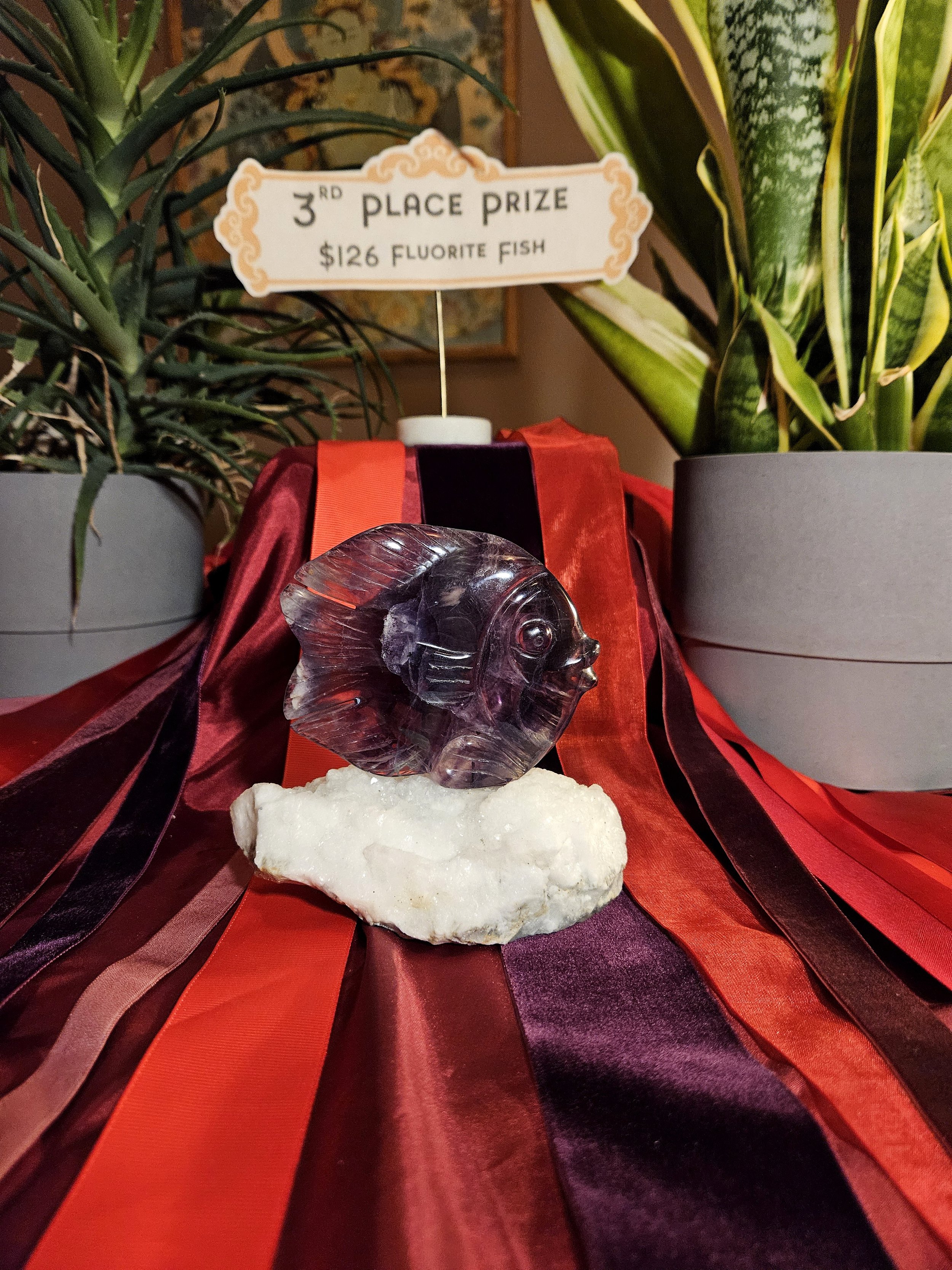 3rd Place Prize: $126 Fluorite Fish