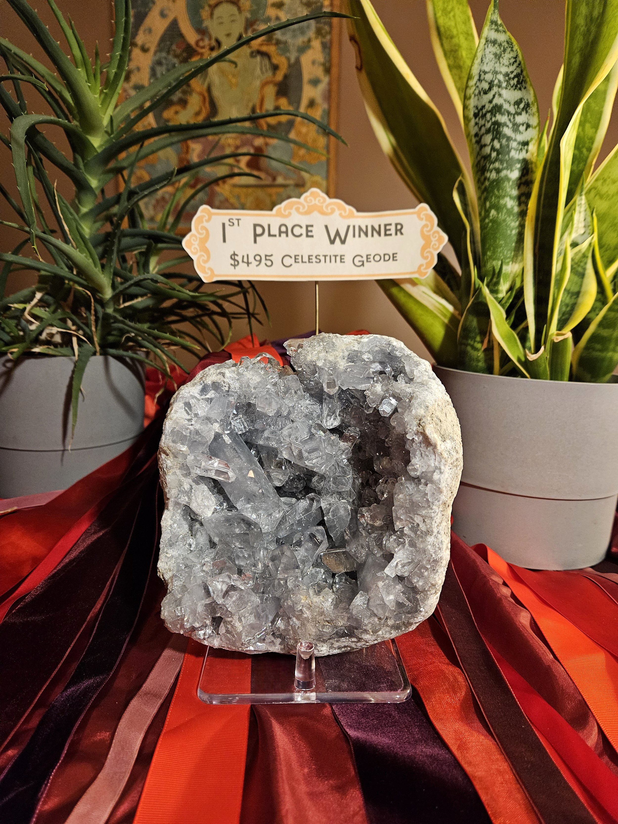 1st Place Winner: $495 Celestite Geode
