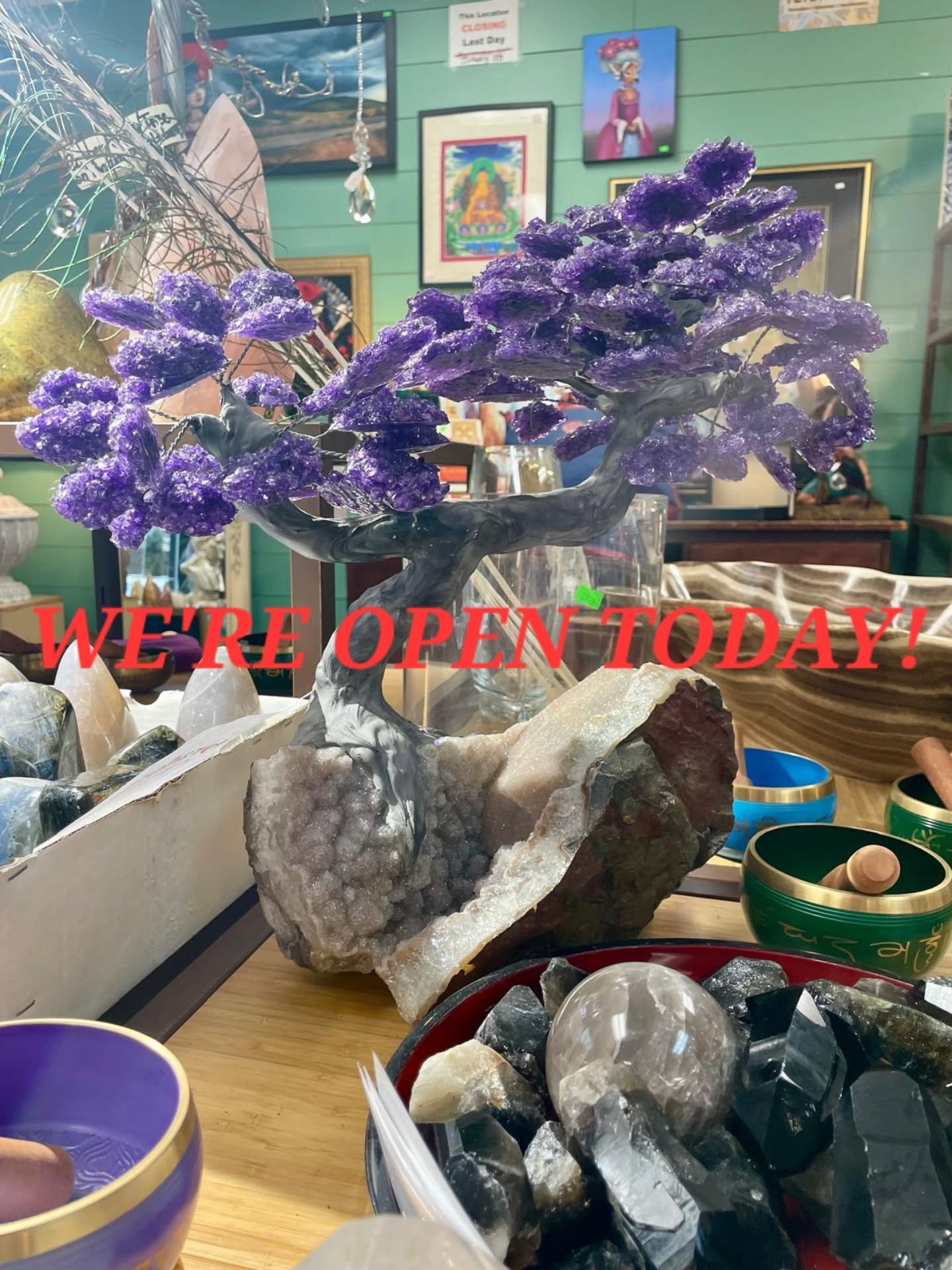 ‼️FINAL DAY AT MAIN ST‼️

Our doors are open till 7 and today is the LAST DAY for our Main St location! EVERYTHING at Main is 60% OFF!!! It's now or never y'all. Come grab some discounted goodies before it's too late! 🤯🤯🤯