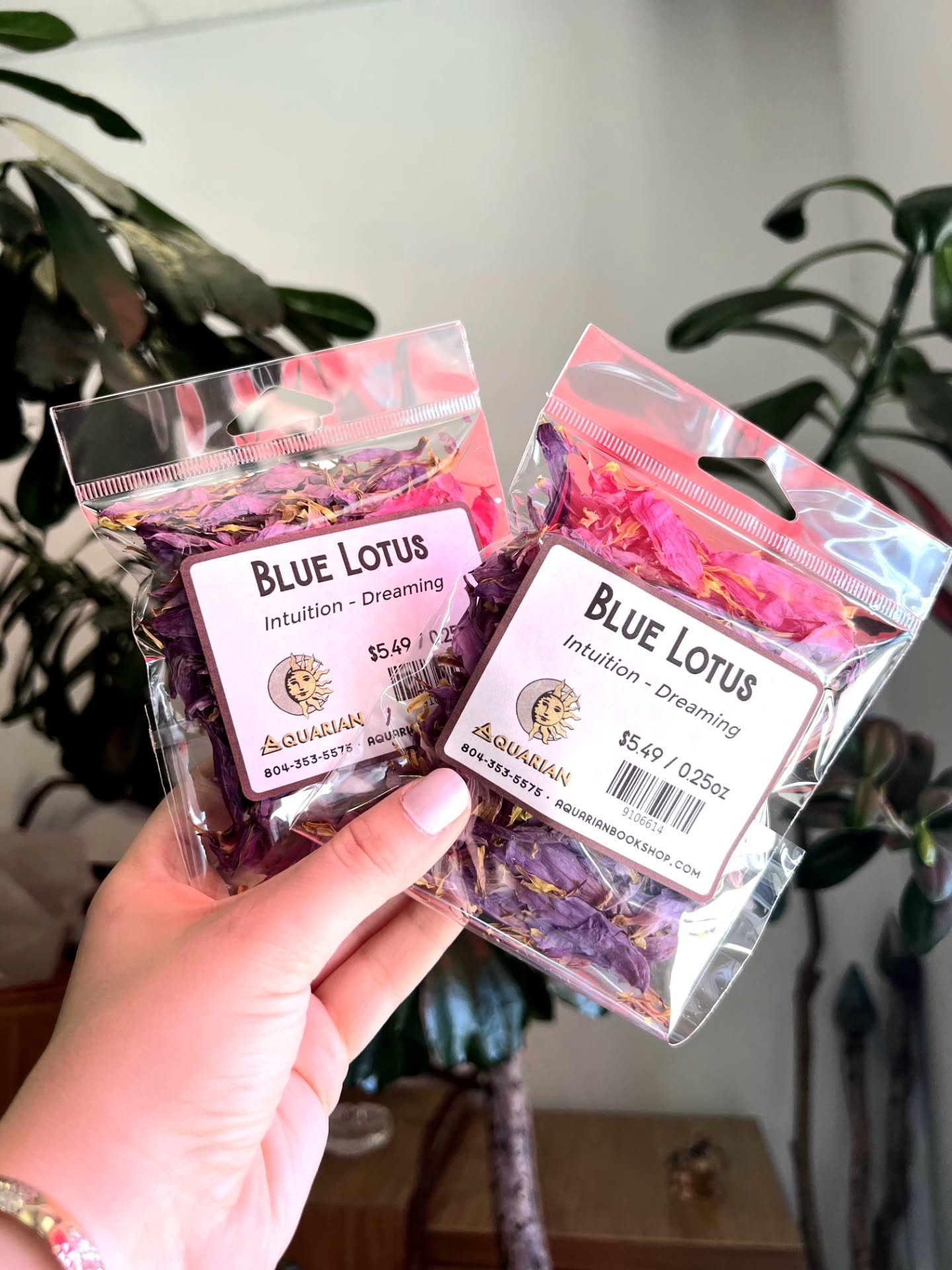 ‼️Egyptian Blue Lotus is officially in the shop‼️

These delicate flowers are known as some of the most ancient and powerful magical allies.

Brew it into tea, smoke it, or add it to your spells for a mood-lifting, sense-softening calm that opens the