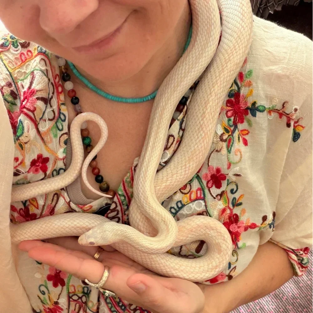 Full Moon Serpent Heart Integration