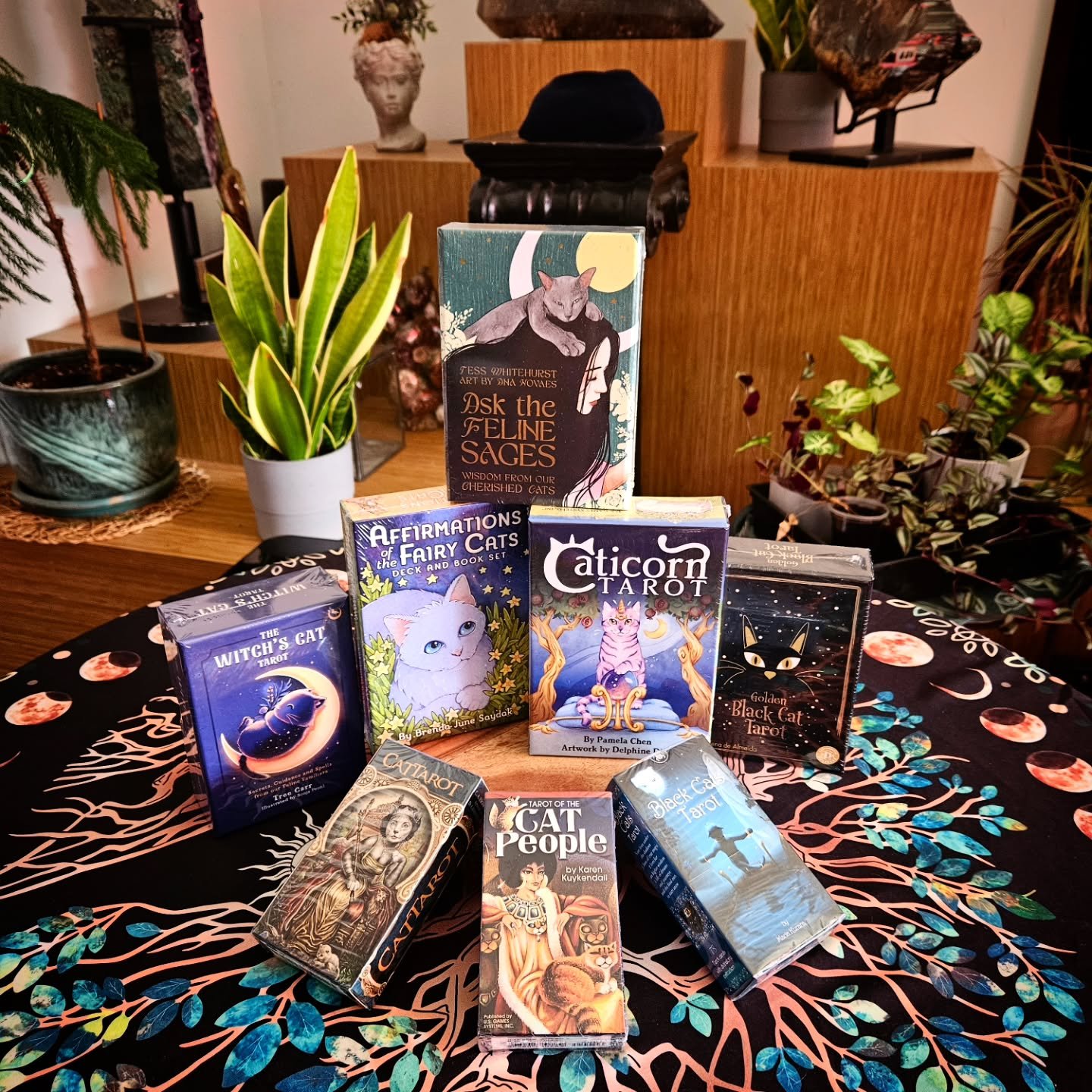 CALLING ALL CAT LOVERS!! 🐱

Come get your cards!!

We've got many options featuring our feline friends. Come find the one that speaks to you today!

We're open 10am-7pm Monday through Sunday 😉

#aquarianbookshop #rvacrystalshop #rvalocalbusiness #t