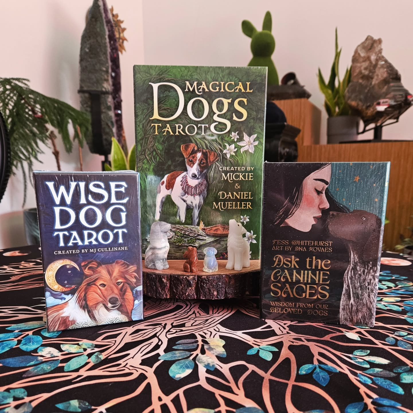 Doggo Decks on deck! 🐕

If you're a dog lover, these might be for you!

Come visit us and check them out. Our store hours are Monday-Sunday 10AM-7PM.

#aquarianbookshop #rvalocalbusiness #rvacrystalshop #tarot #doglover