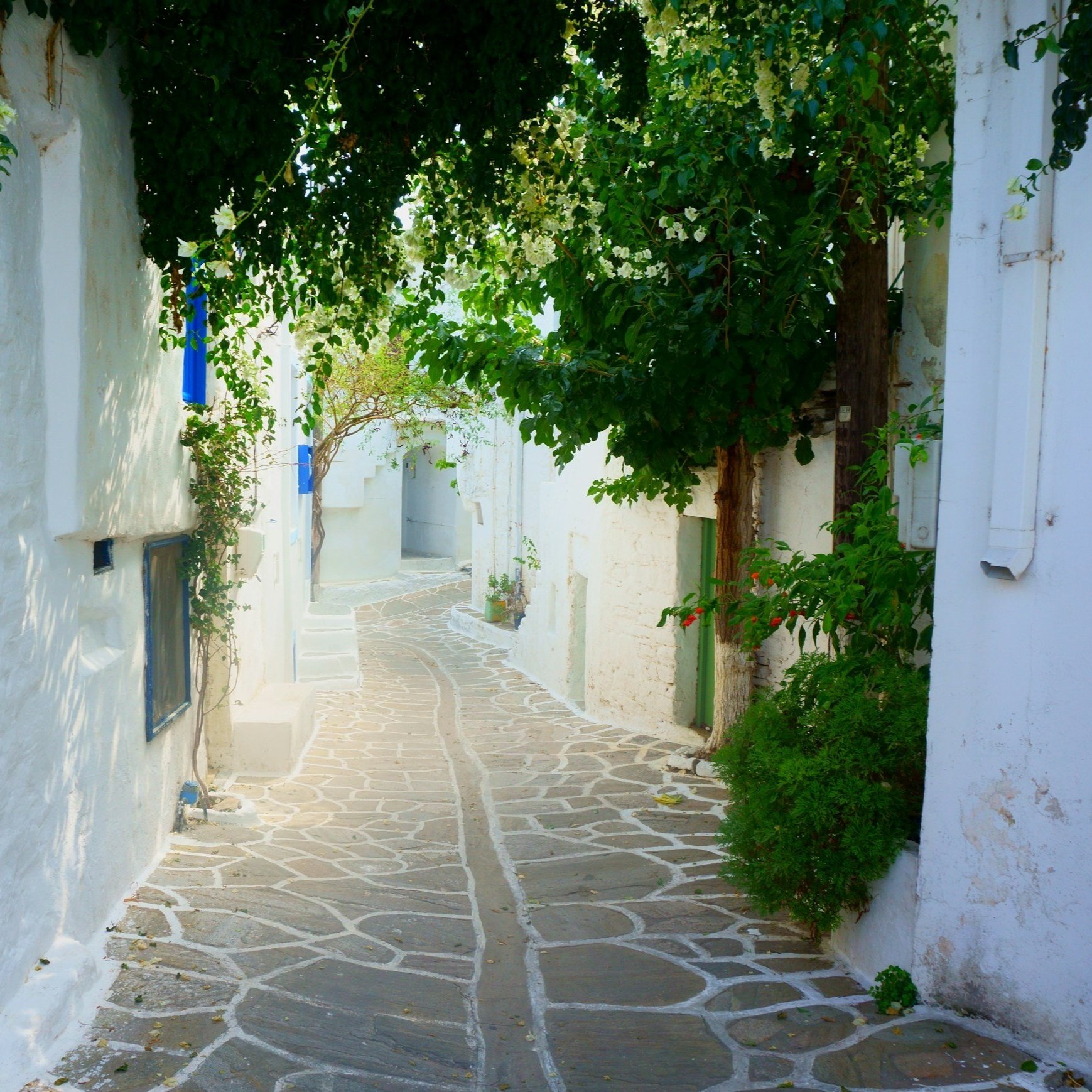 Discovering Your Life Path: Reading Your Personal Numerology Chart