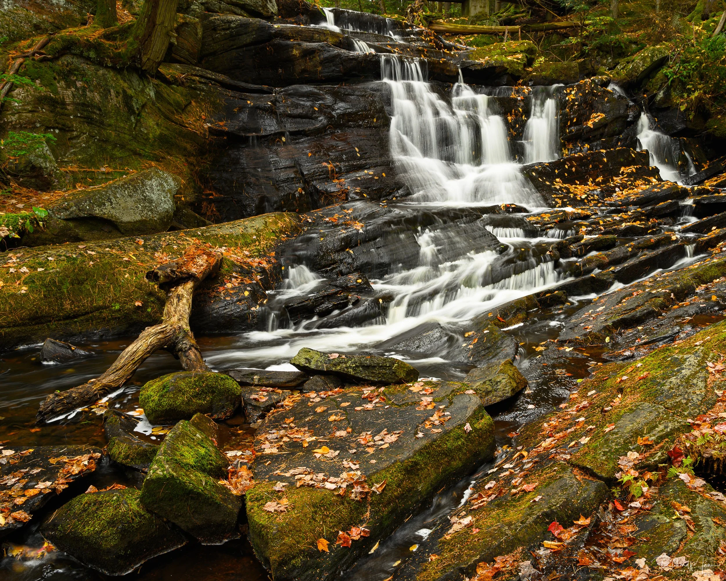 Potts Falls in Autumn II
