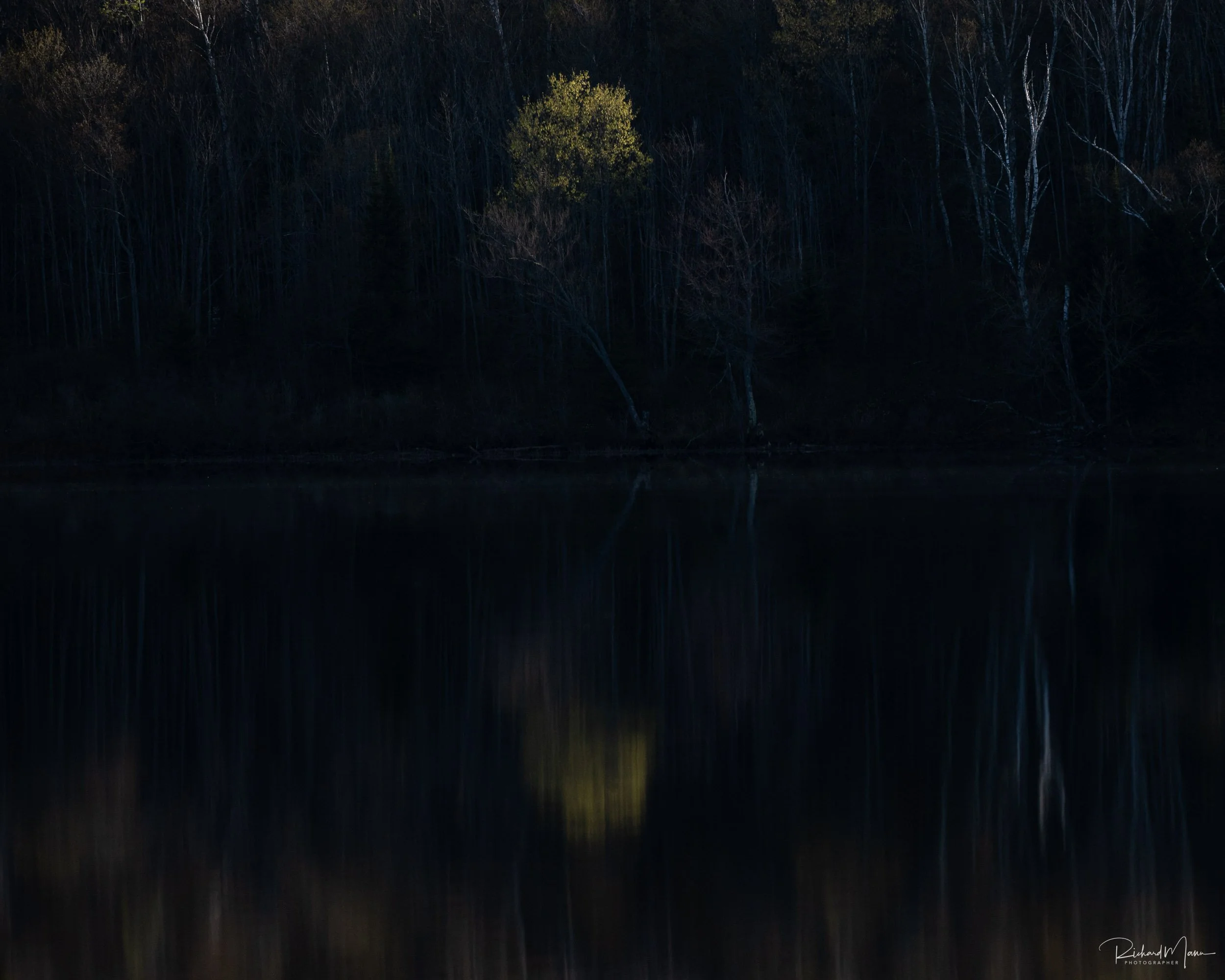 Soft light at the edge of Arrowhead Lake
