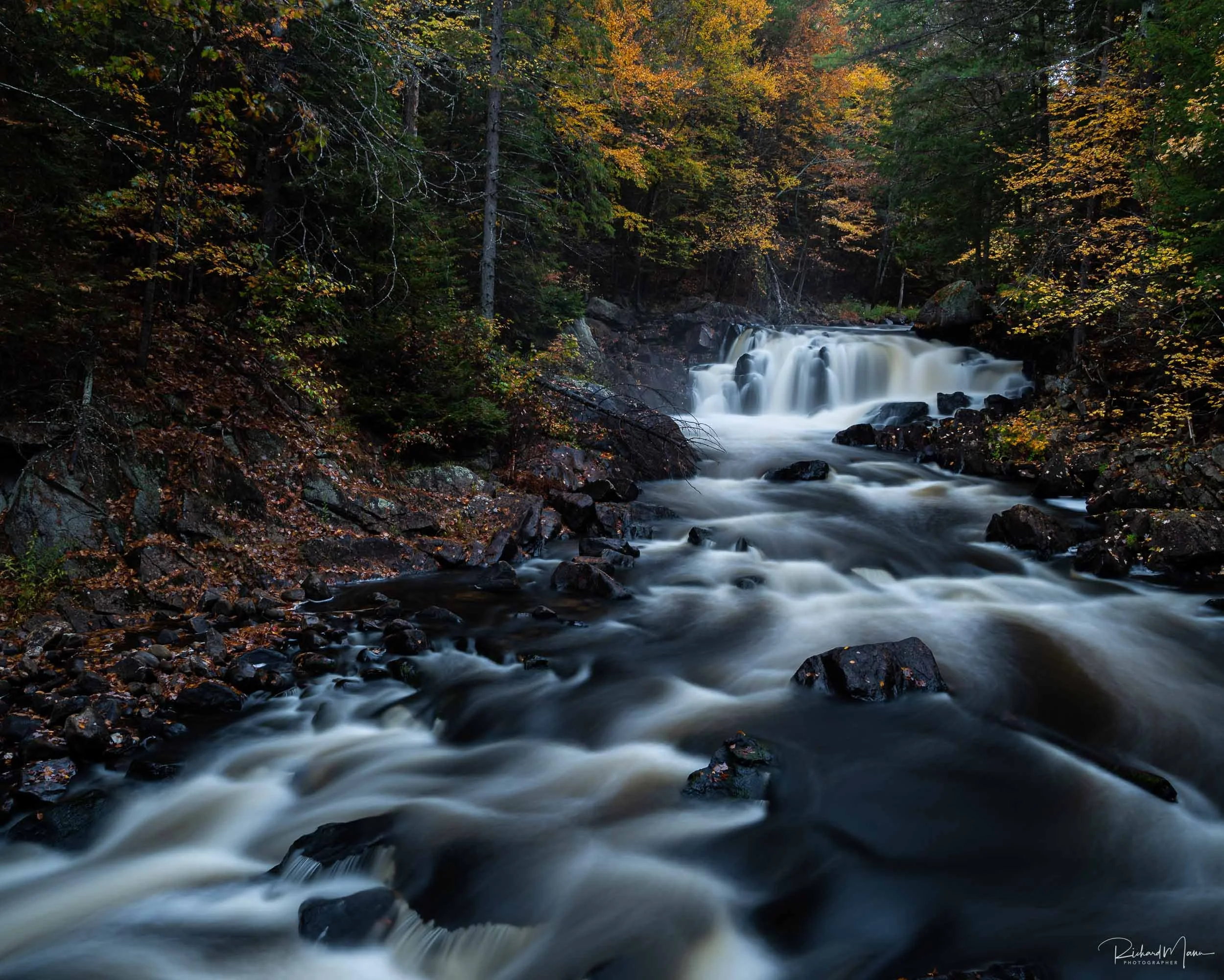 Brooks Falls in the autumn