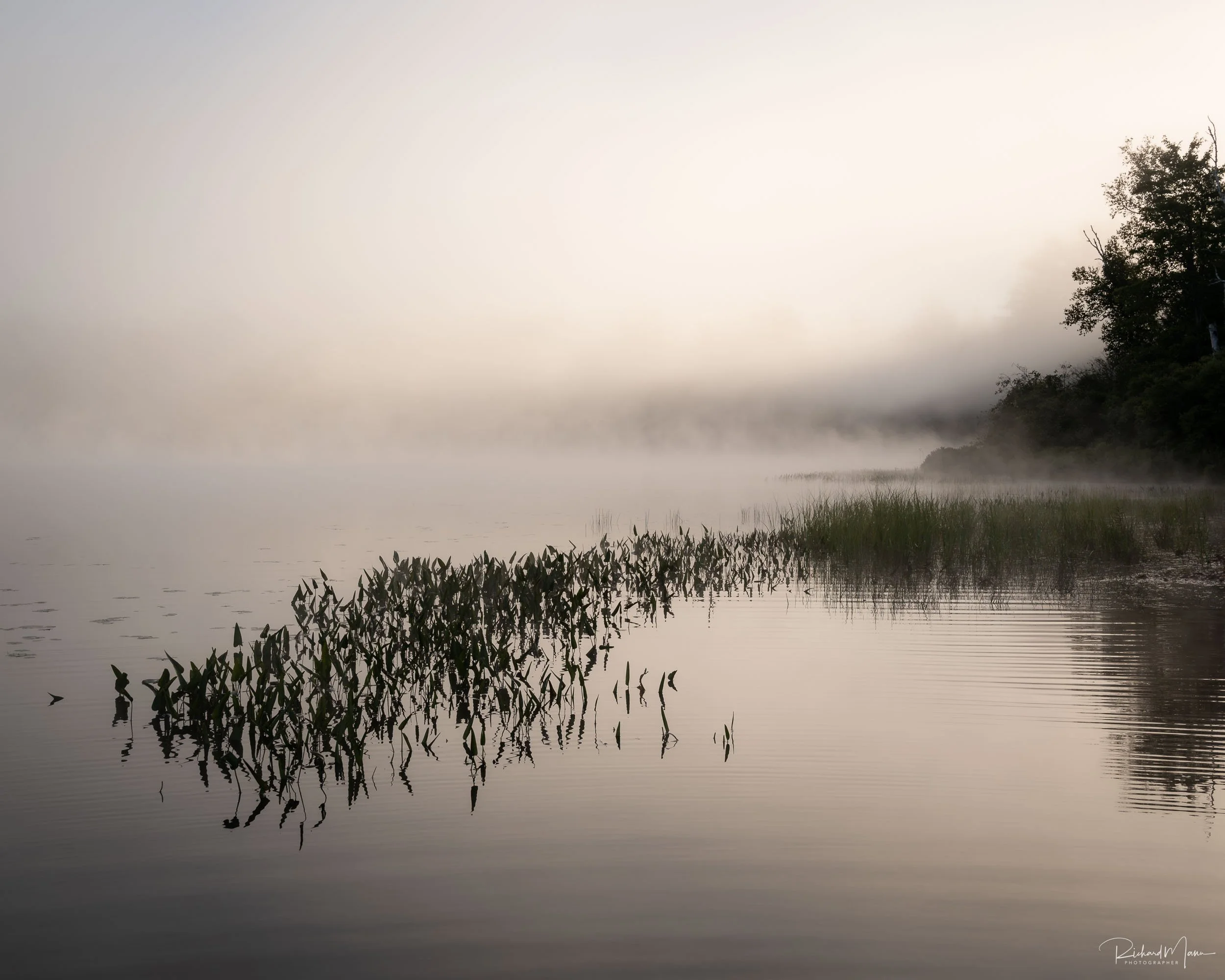 Sepia toned sunrise shot on Arrowhead Lake