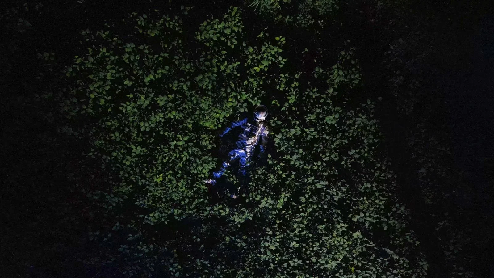 WhatsApp Image 2024-08-22 at 16.35.14.jpeg