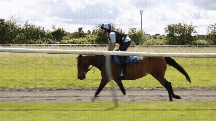 Adobe Express - website_rada_gif.gif