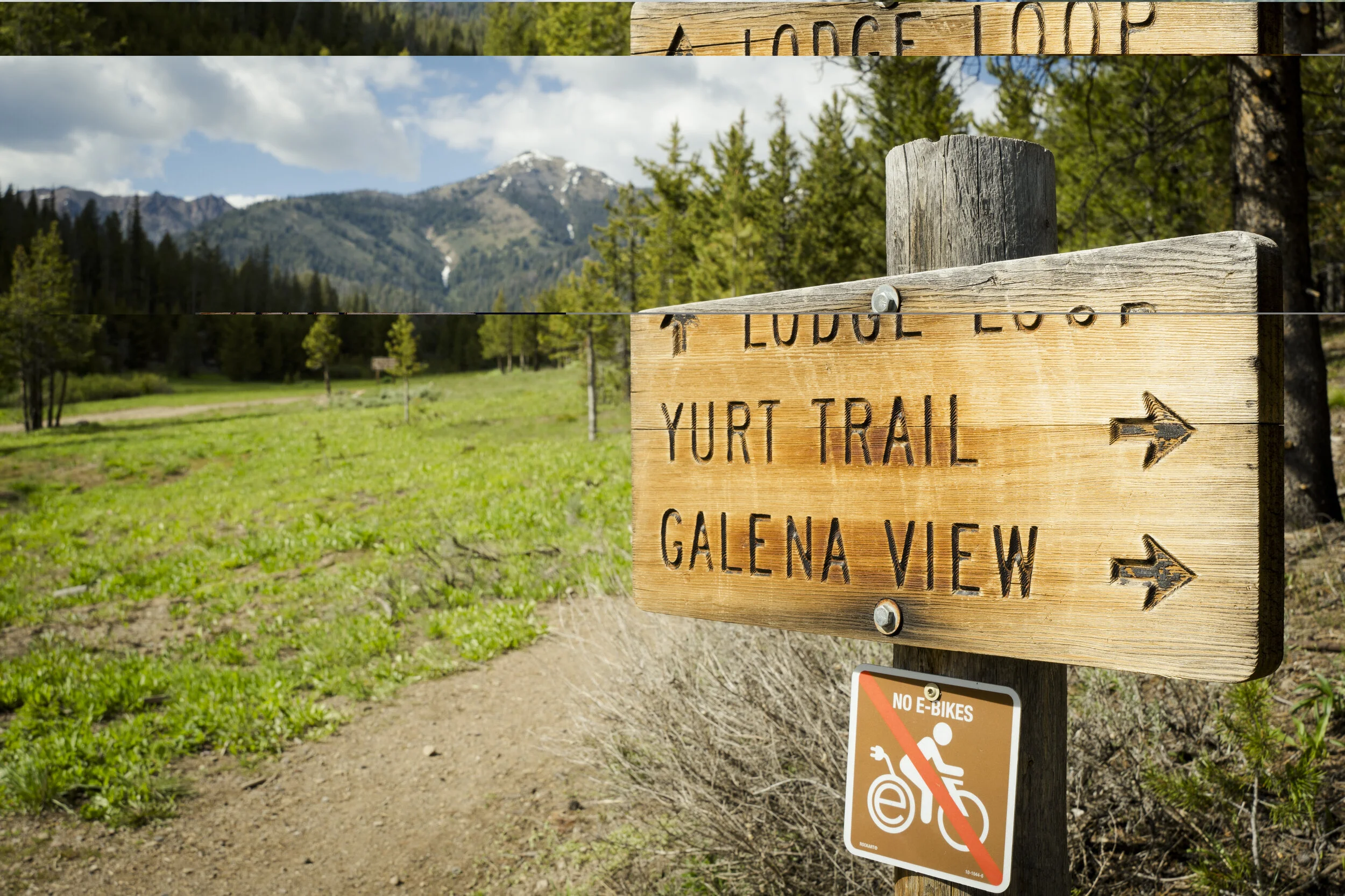 TrailsDirectionSign_2023_P.jpg