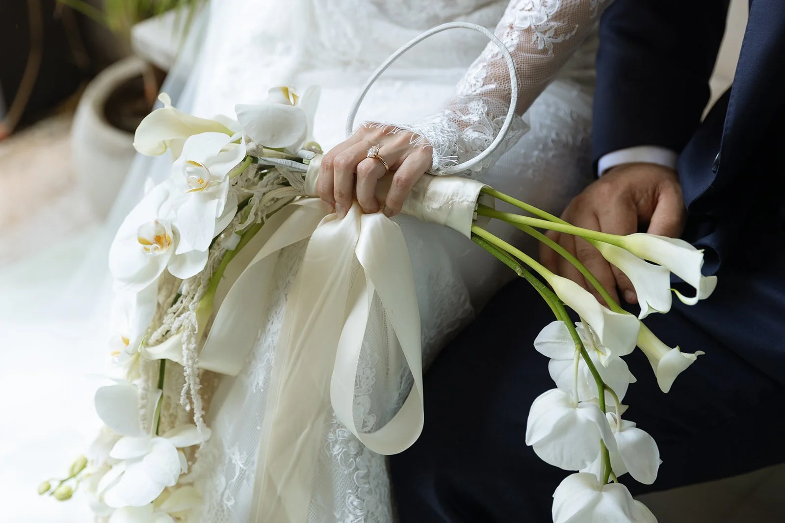 Dreamy Merida, Mexico Wedding
