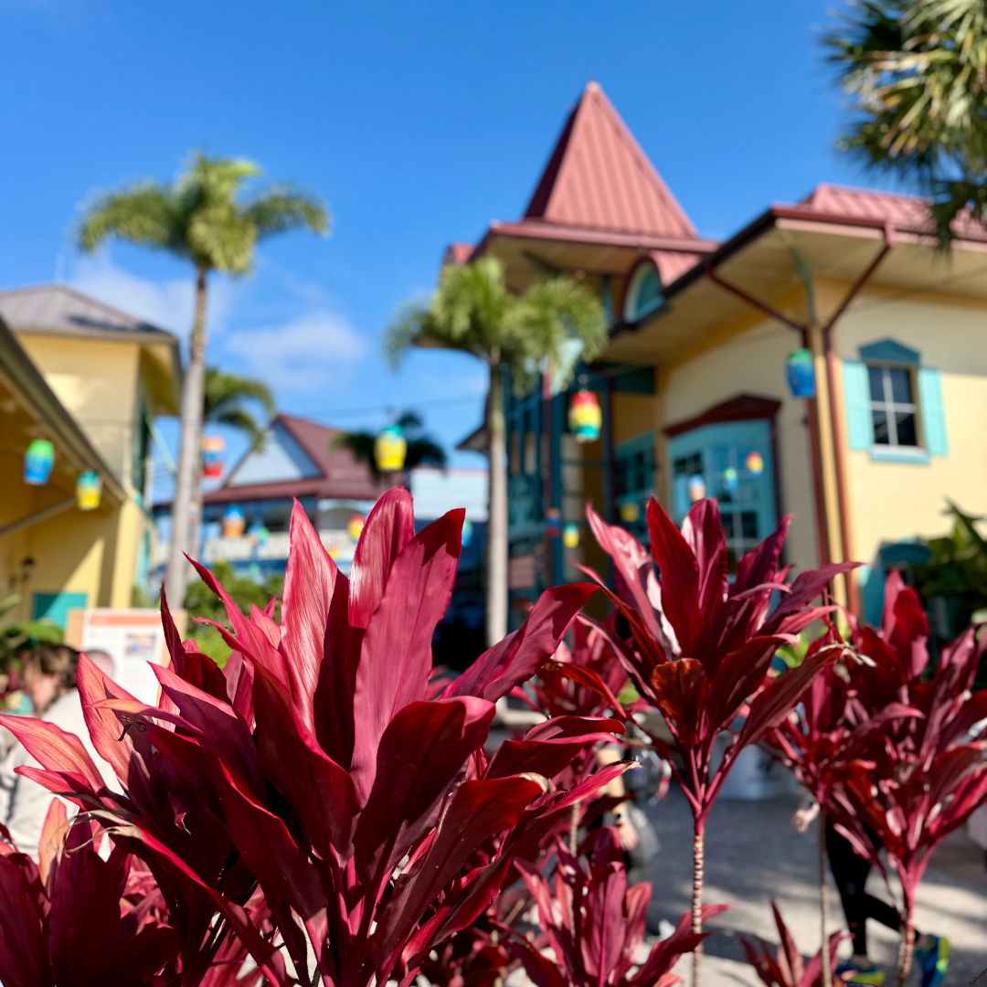 Caribbean Beach Resort