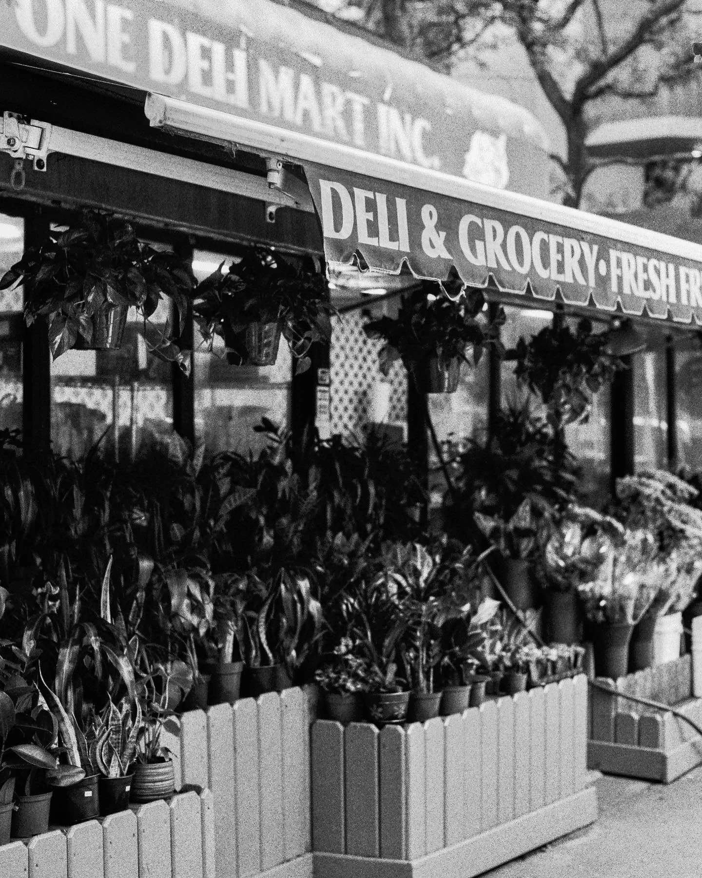 b+w brooklyn from last fall
.
.
.
.
p.s. find the pigeon