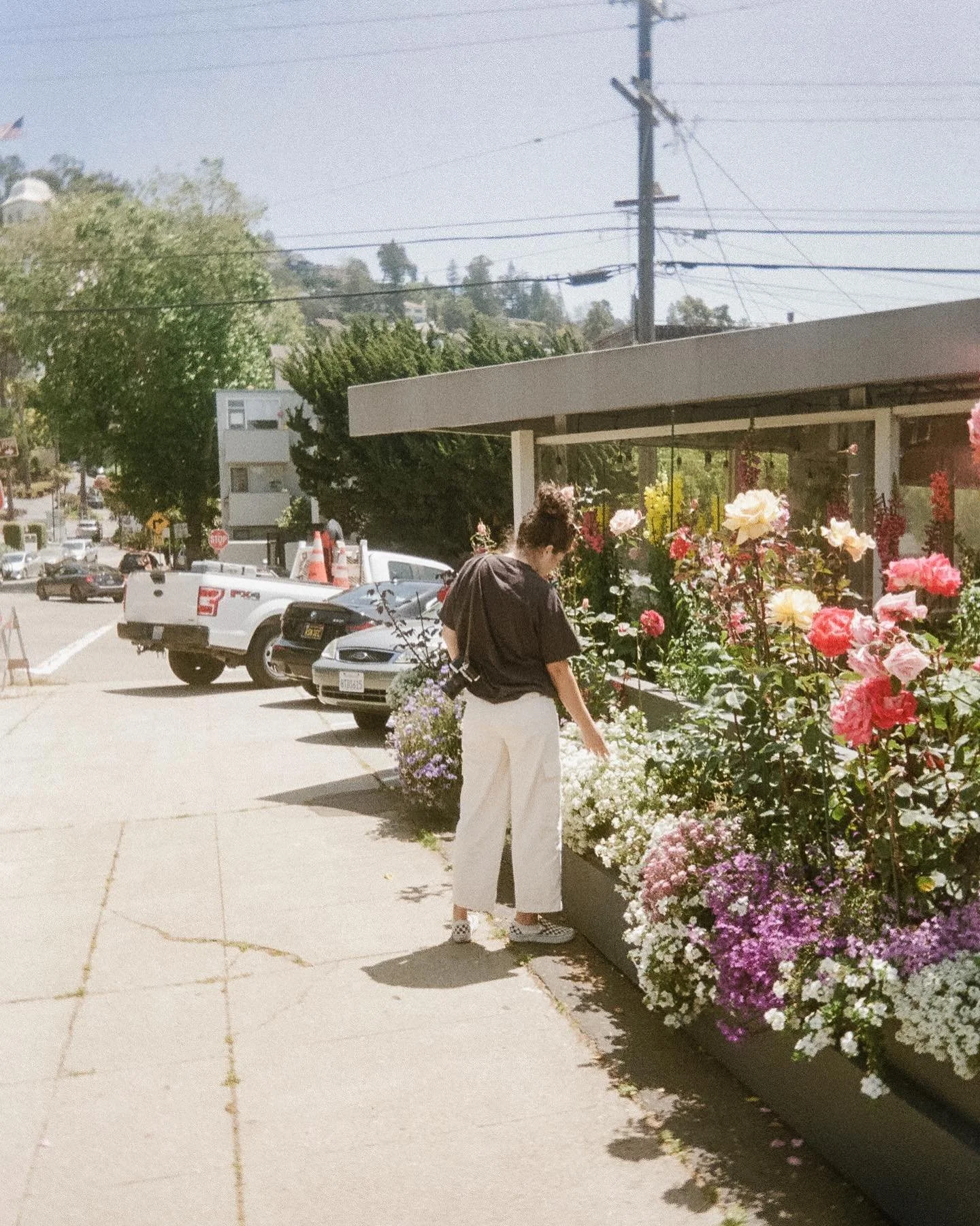 Some shots from home this summer.