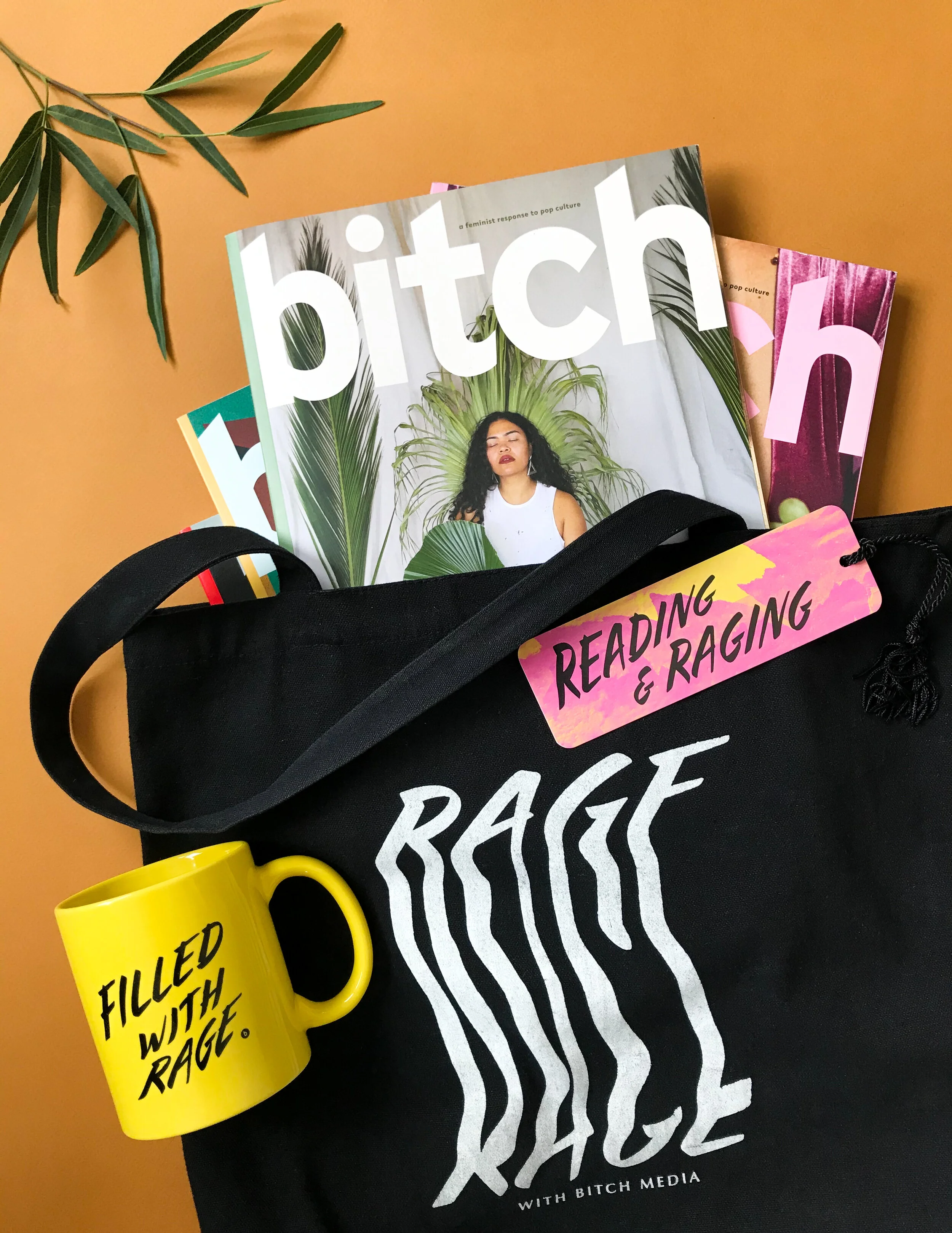 Bitch Media Rebranding by V Corzo