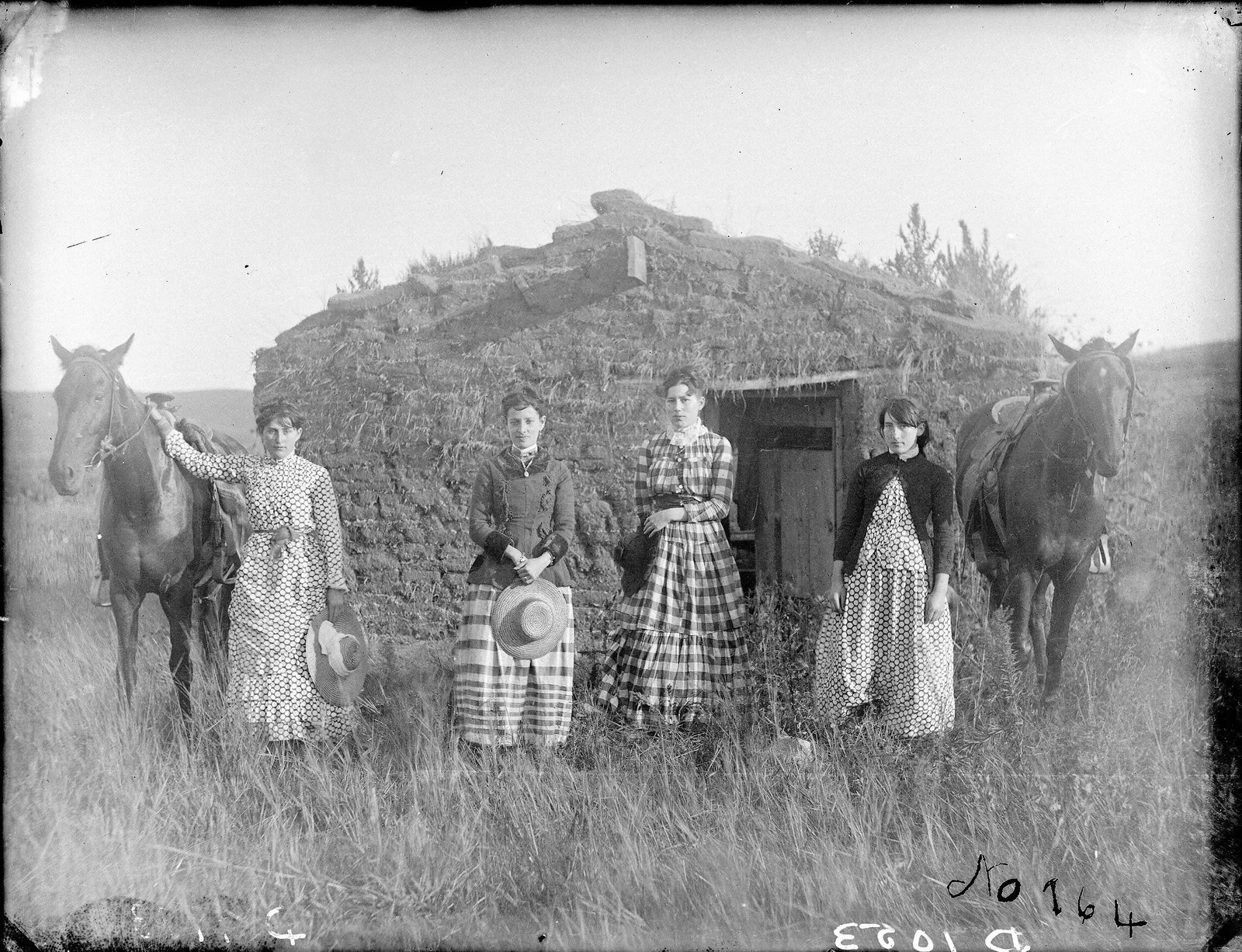 The four Chrisman sisters, women homesteaders, standing with their horses in front of a sod house in Custer County, Nebraska, 1886