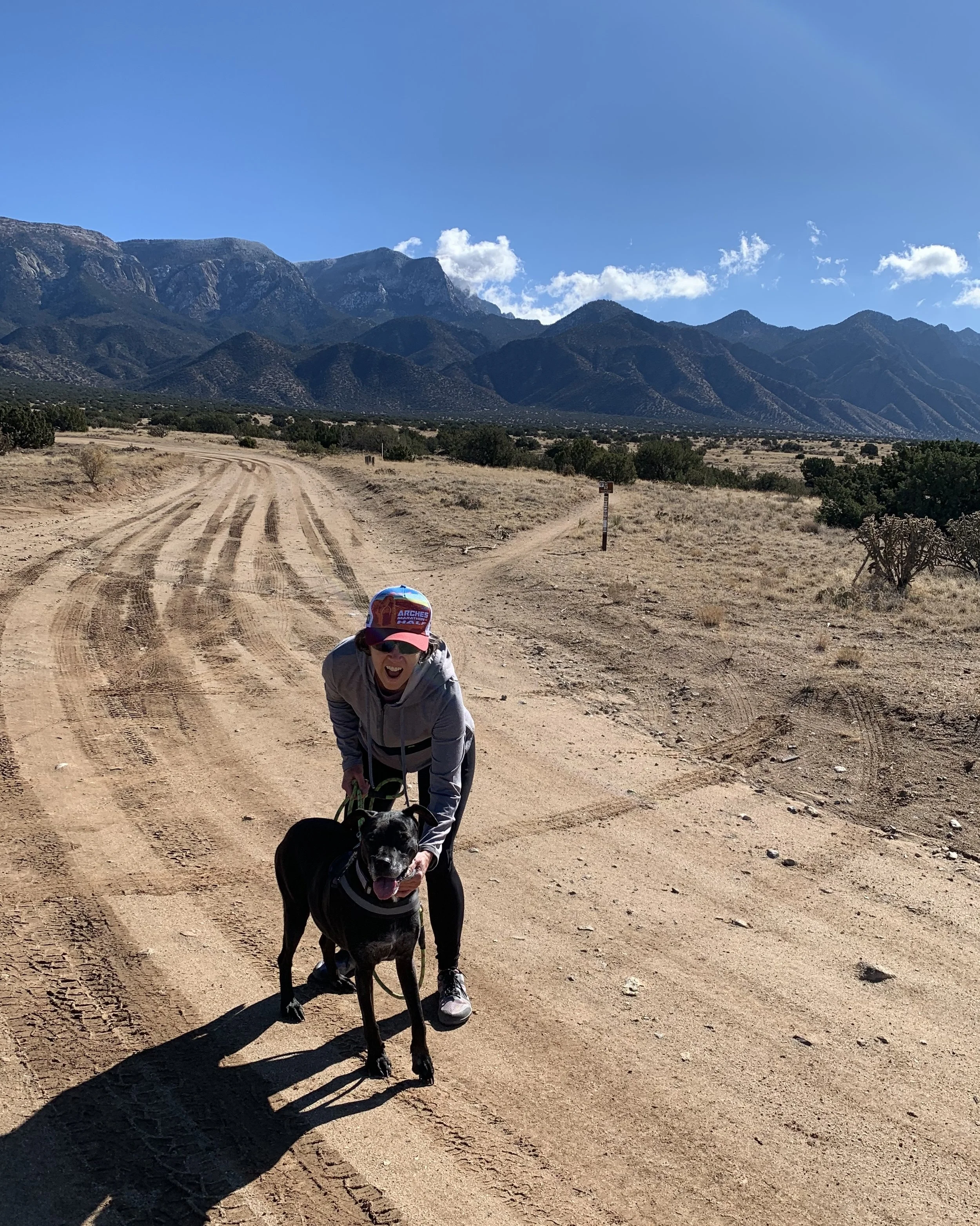 Jennifer Paulsen Professional Home Organizer Placitas