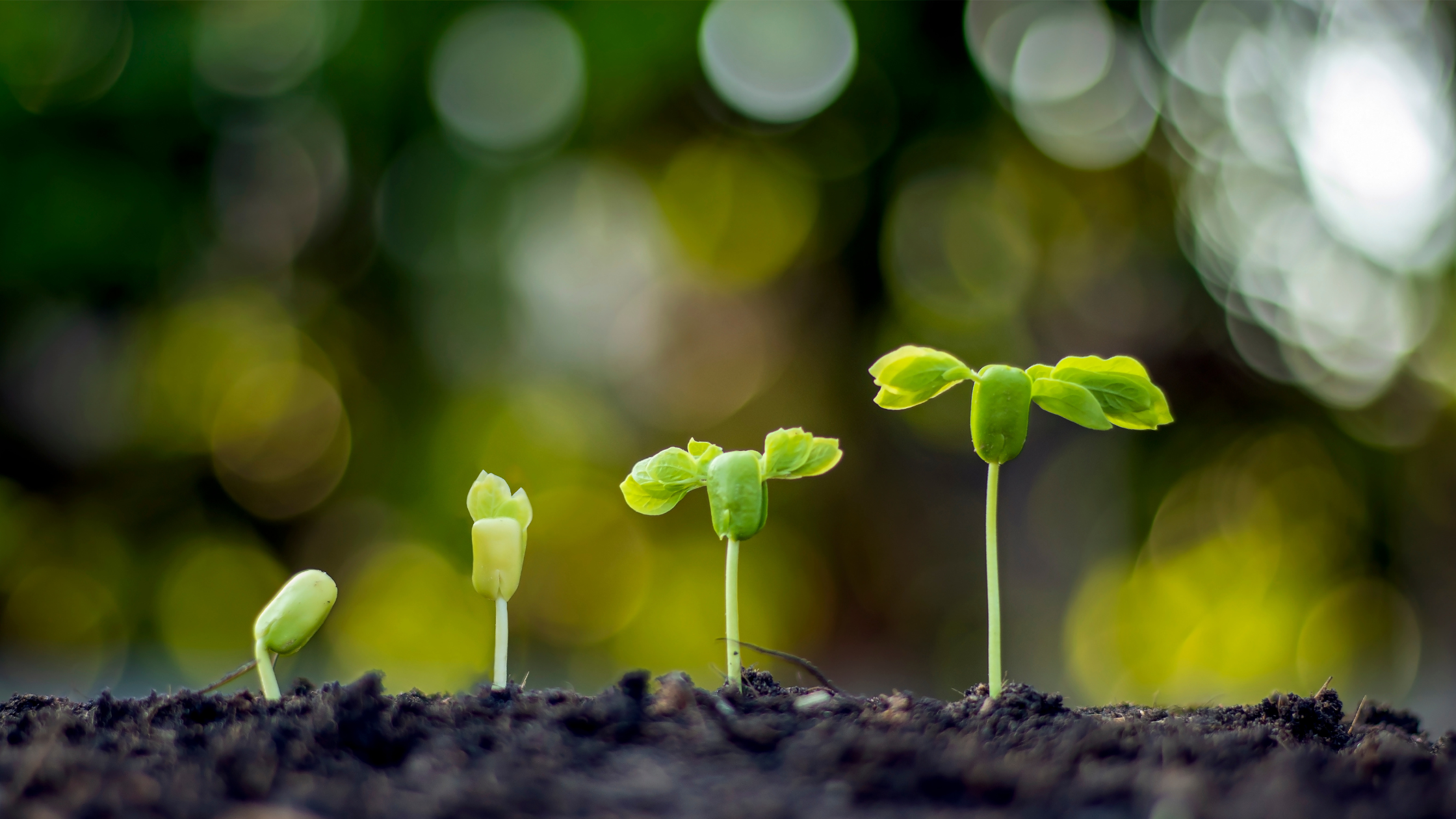 “3 Ways Community Banks Can Grow Deposits Without a Bigger Ad Budget”