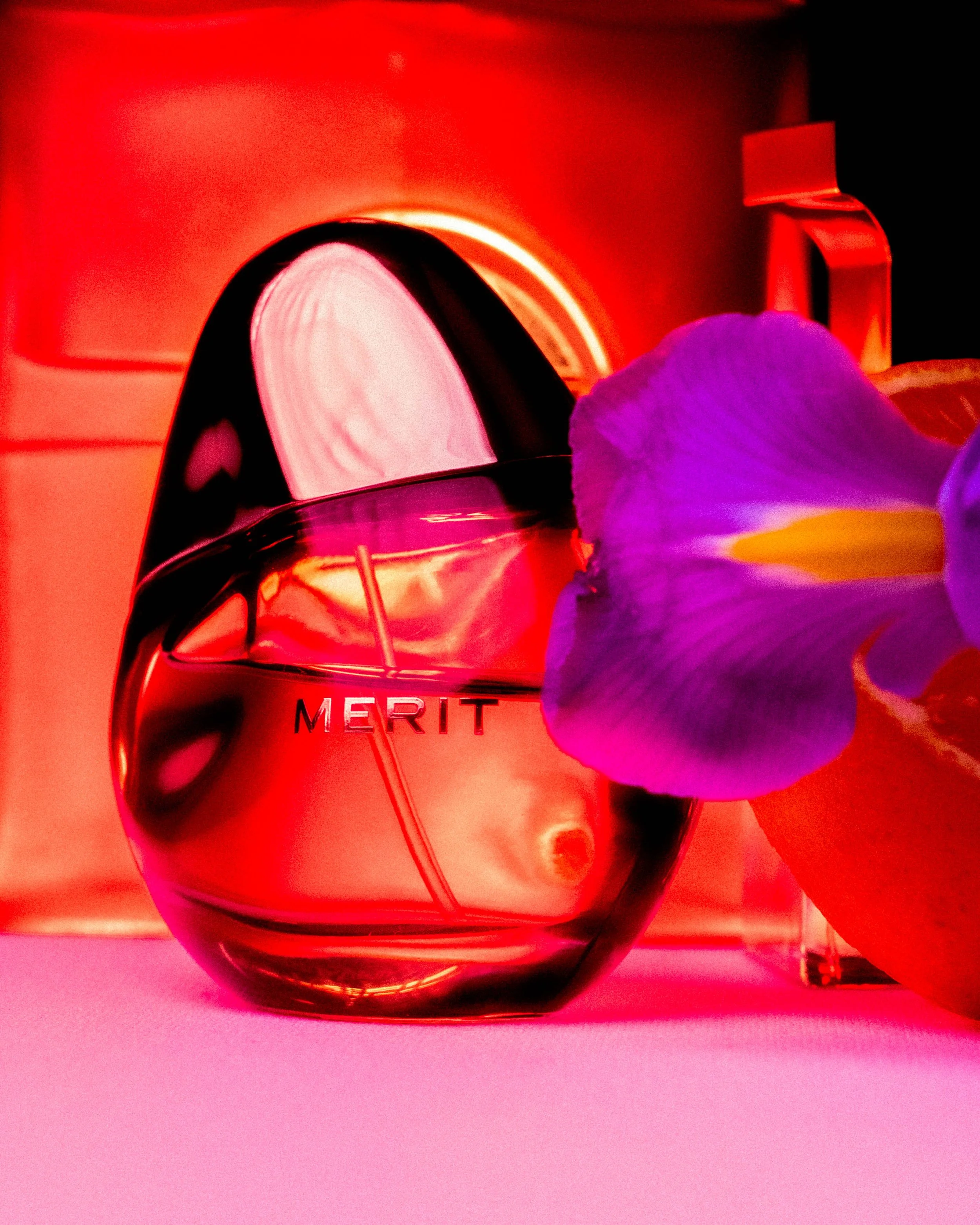 Merit-30.jpg