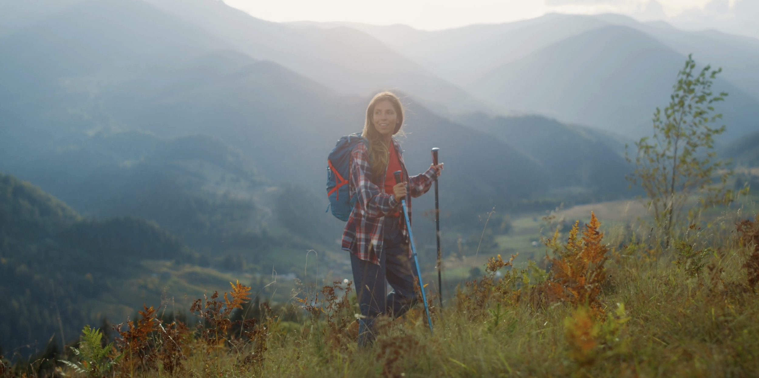 Header Screen Shot.png