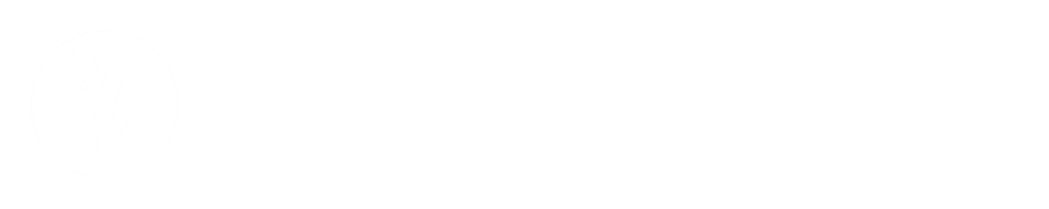 New View Church