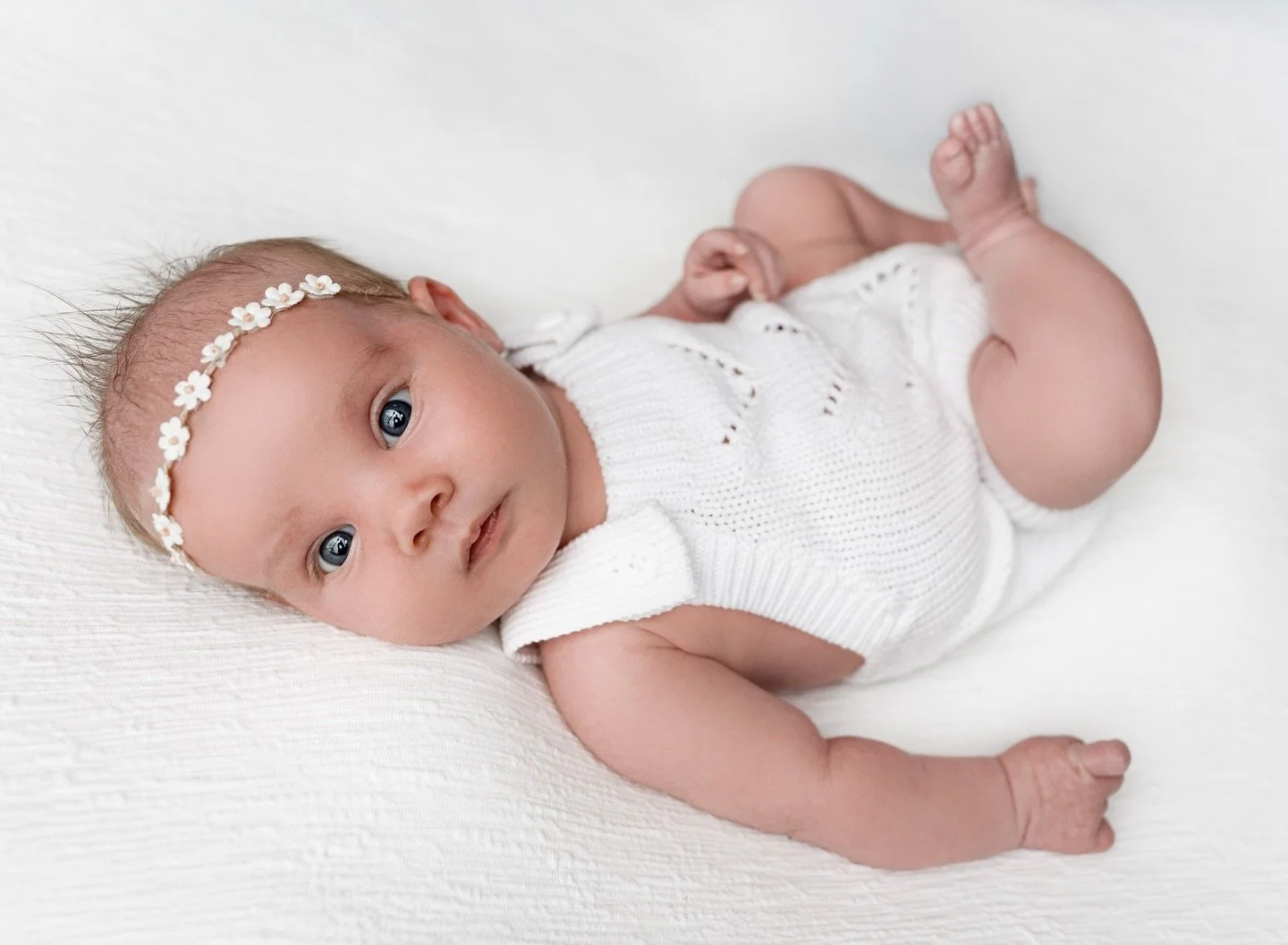 🤍 Primrose 🤍
- 1month -