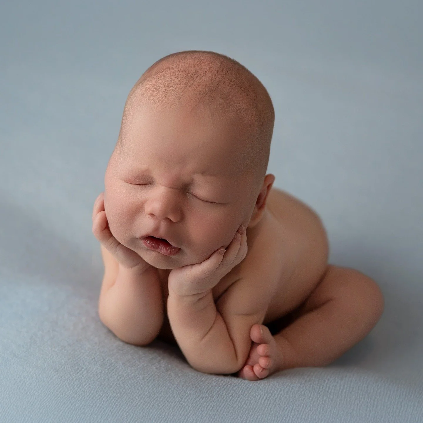 Murphy melting hearts from day 1! Waiting for this little poppet to sit unassisted to get him back in the studio. You just wait until you see his cheeks now!!!