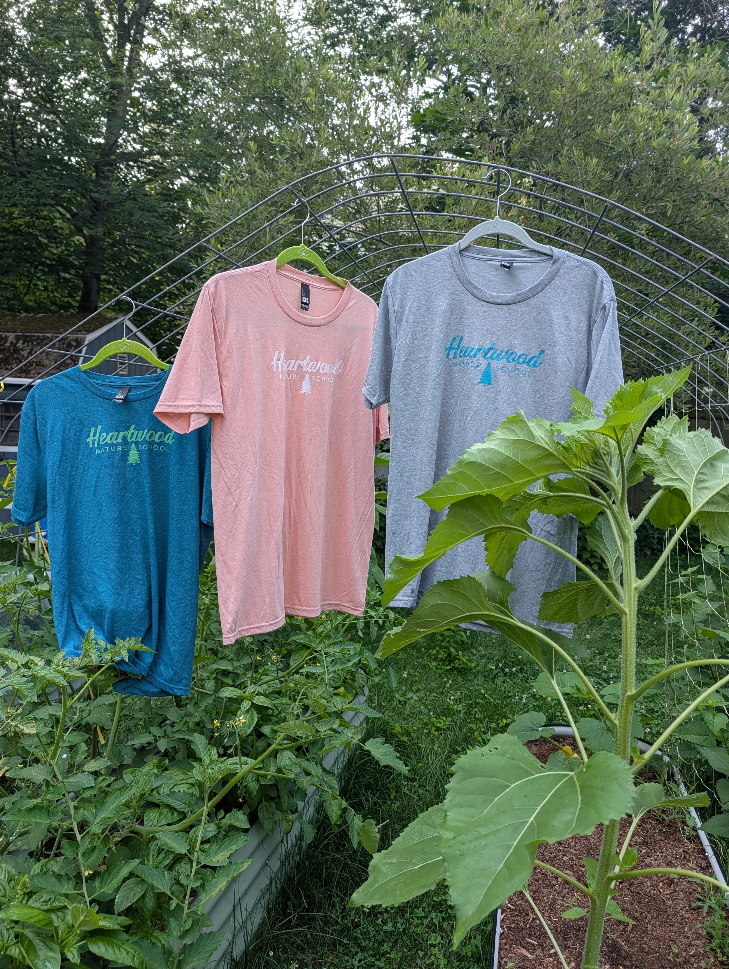 Adult T-Shirts
