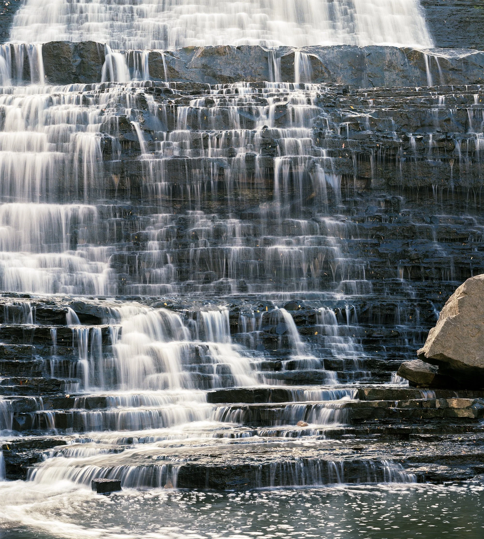 bulk_4ft_StephanieBlack .jpg