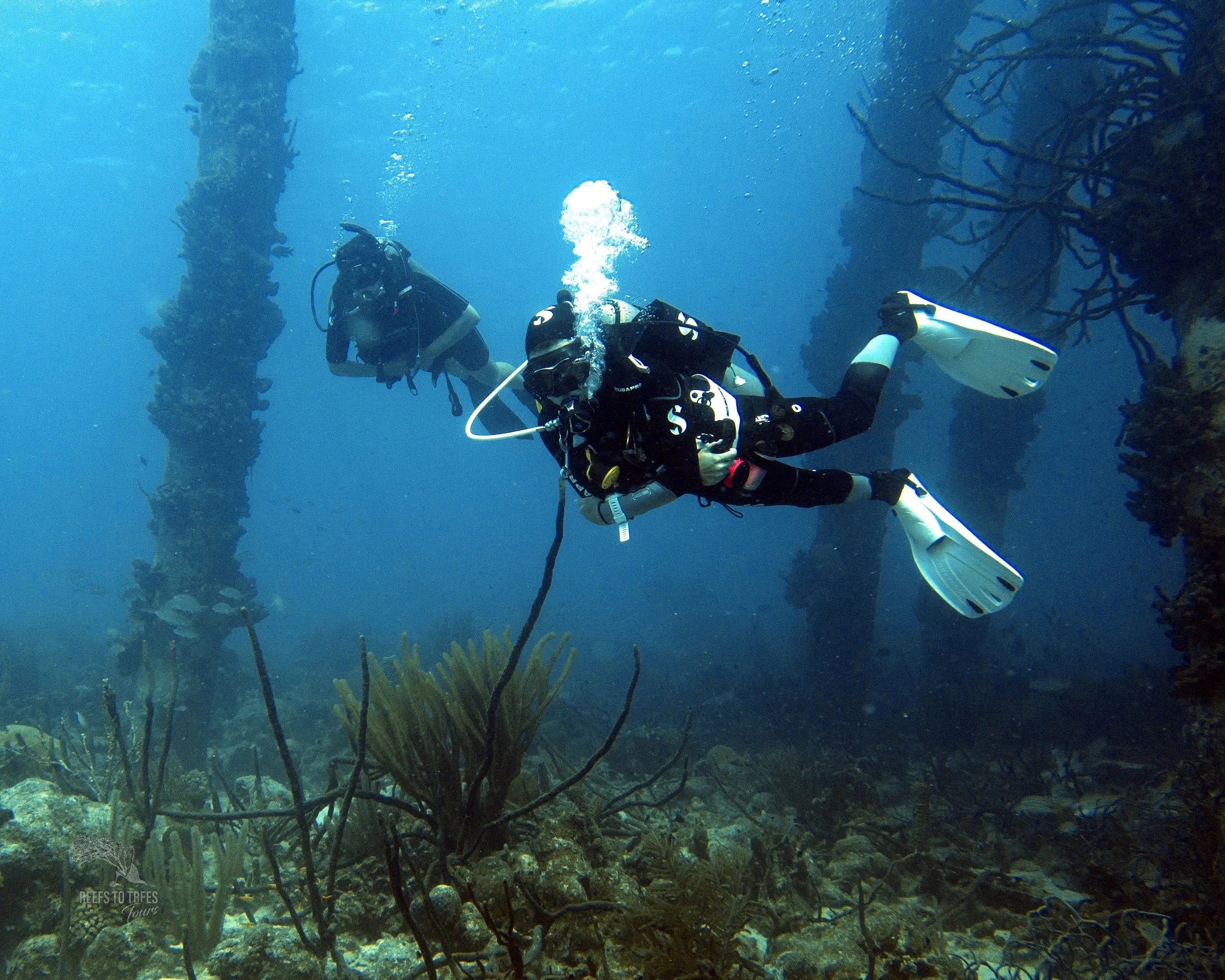 SCUBA divers in Bonaire