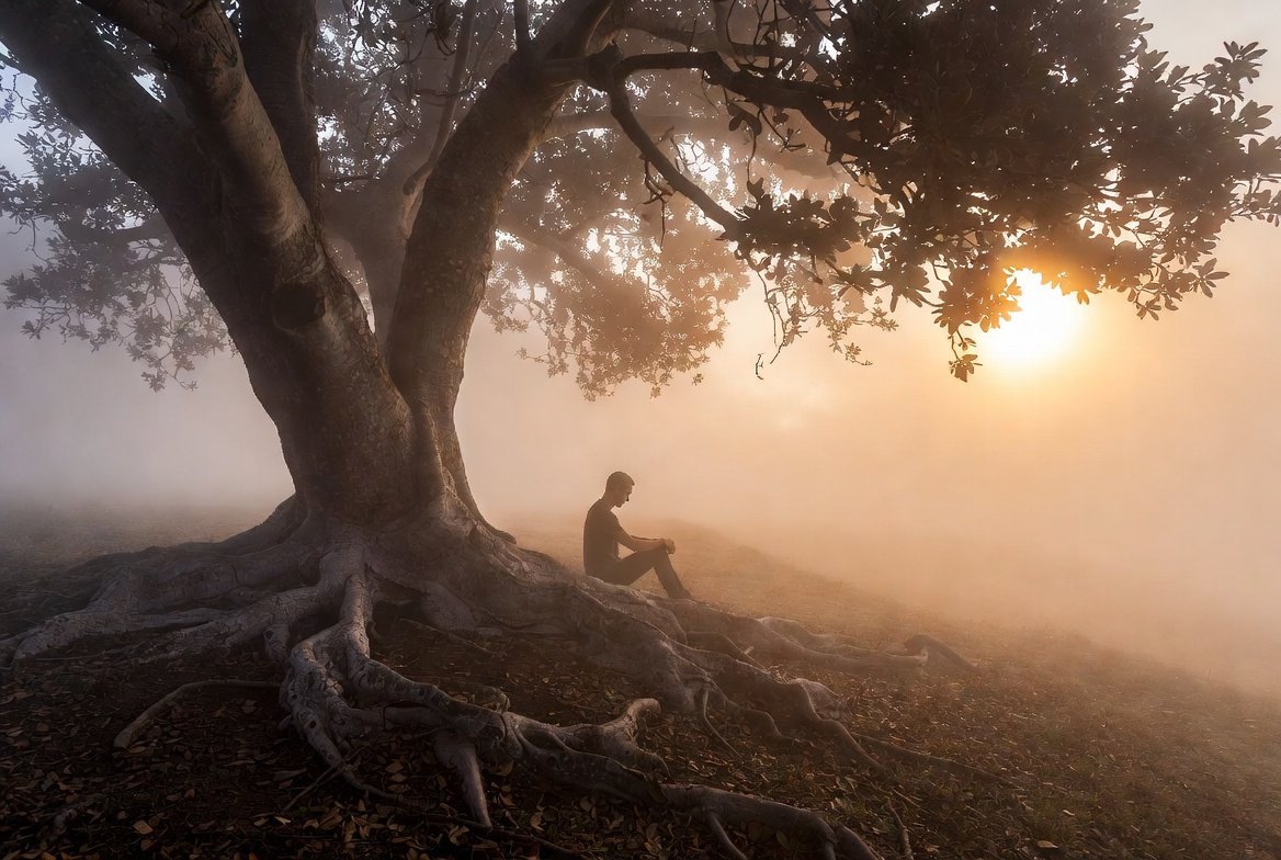 Sitting with Fear: Reflections on Failure and Growth