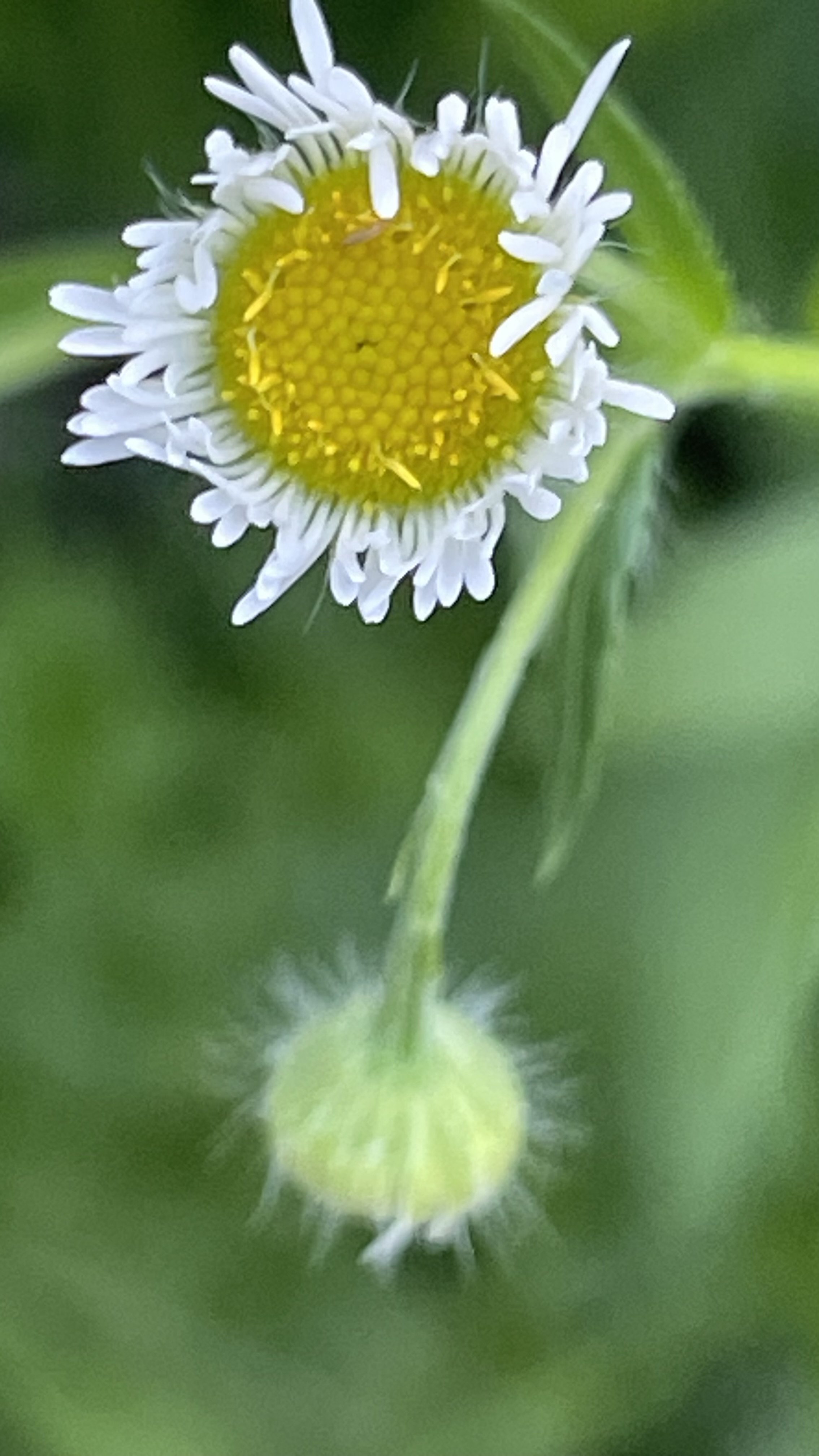 IMG_1718.jpeg
