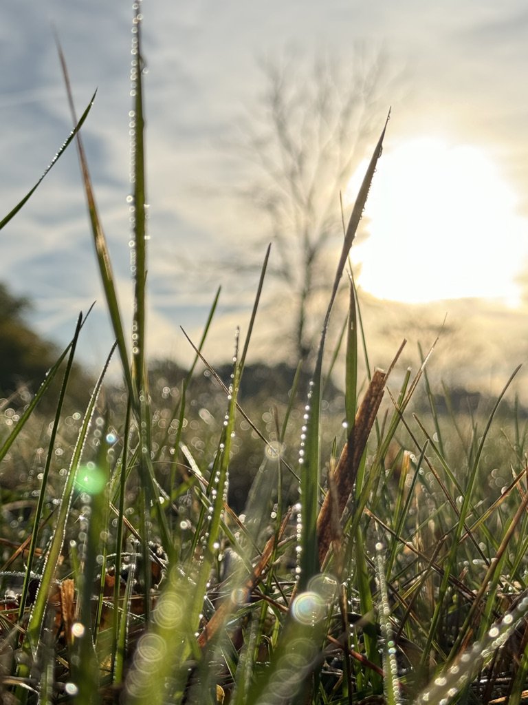 06DC8A42-5792-4C6F-9D74-0C2327D98259_1_105_c.jpeg