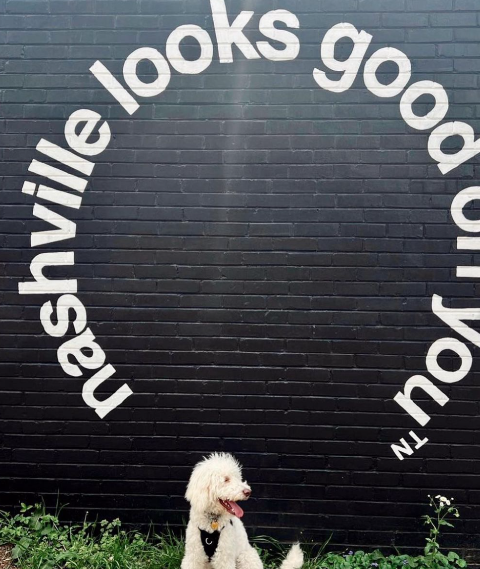 NASHVILLE LOOKS GOOD ON YOU (12 SOUTH: LOCATED BEHIND FROTHY MONKEY)
