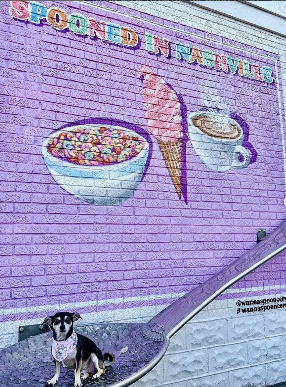 SPOONED IN NASHVILLE (WANNA SPOON ON 12 SOUTH)