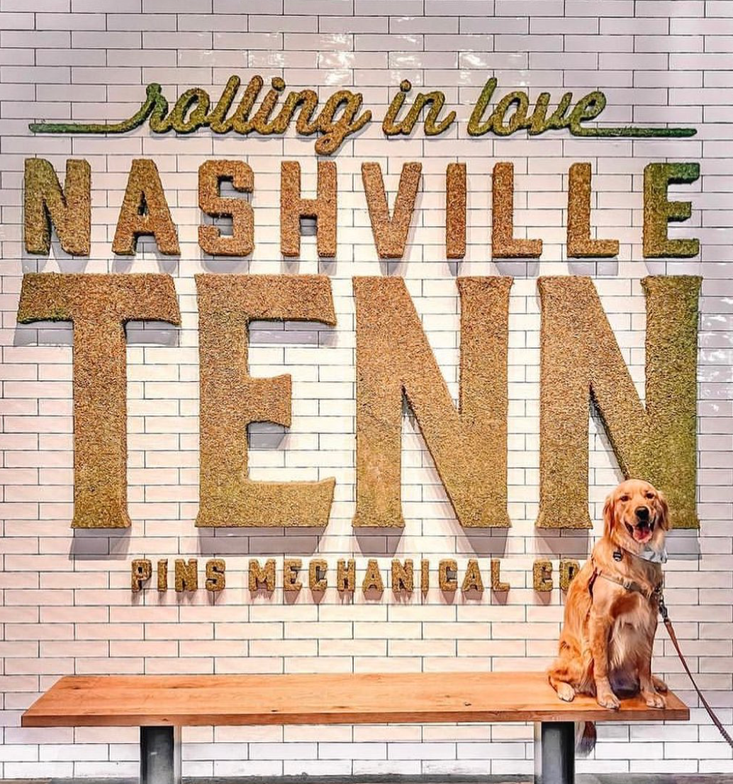 ROLLING IN LOVE NASHVILLE TENN (PINS MECHANICAL CO IN THE GULCH)