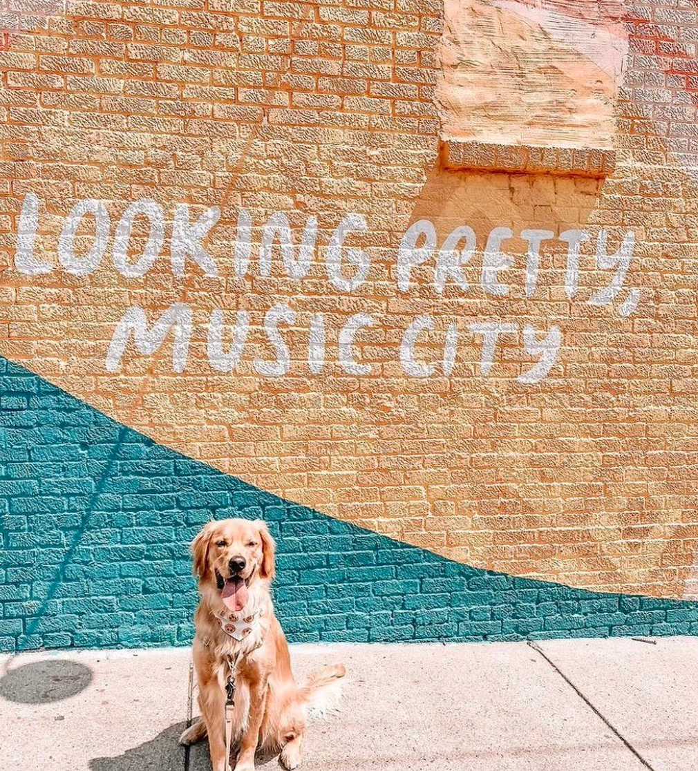 LOOKING PRETTY MUSIC CITY (12 SOUTH)