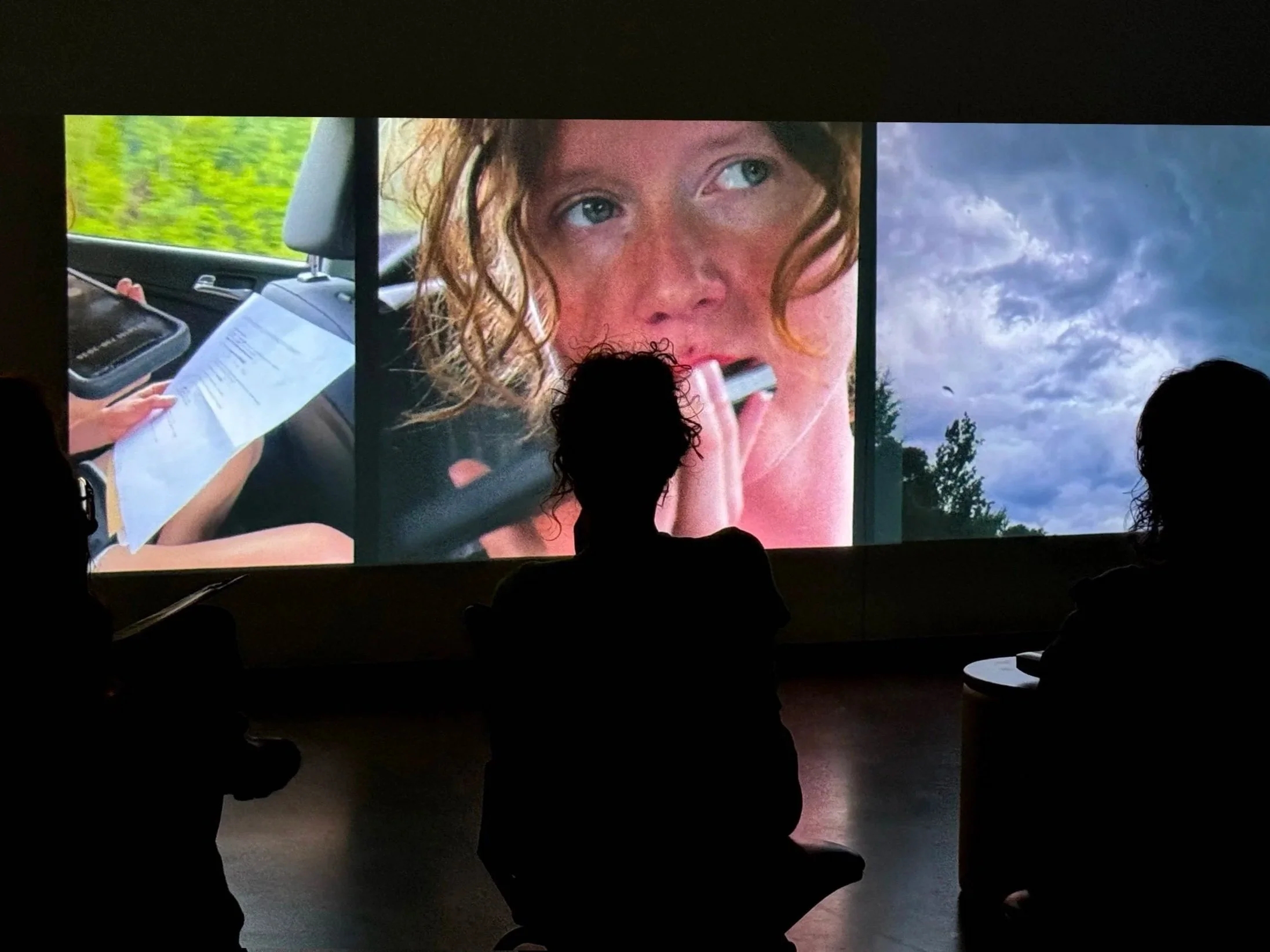 THE DISSATISFACTION SURVEY. 
Canadian Society for Education Through Art, NSCAD University, Halifax, Nova Scotia.
June, 2024. (with jessie beier and José Cortés)