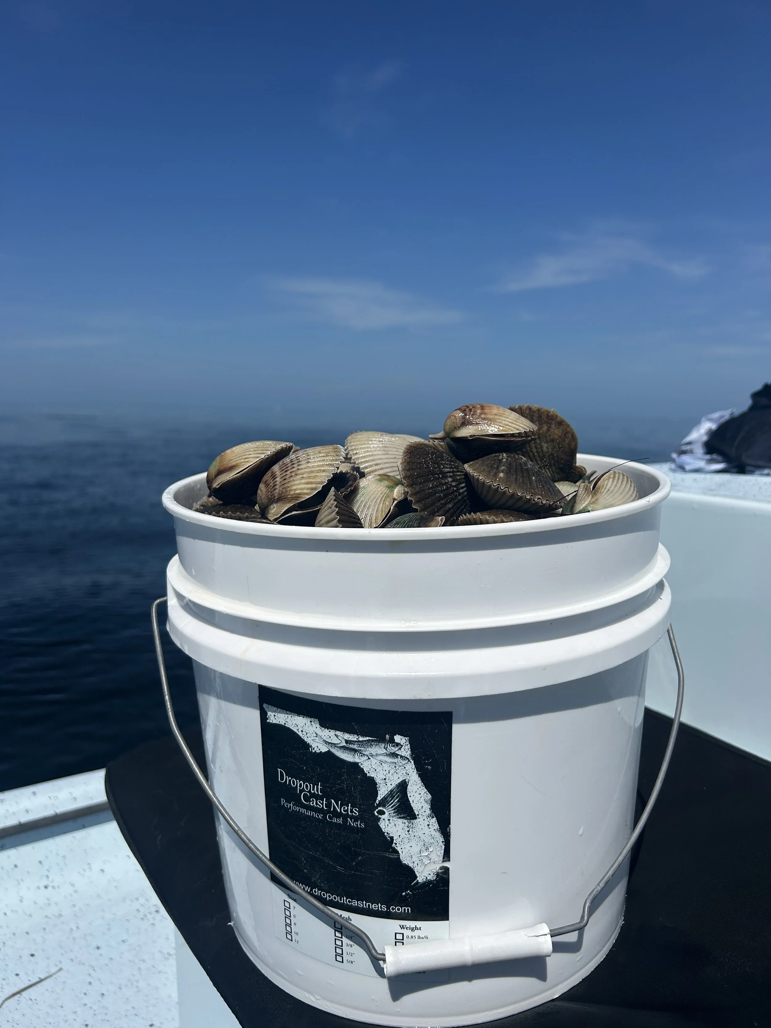 Pasco County Scalloping Closure Report 2026