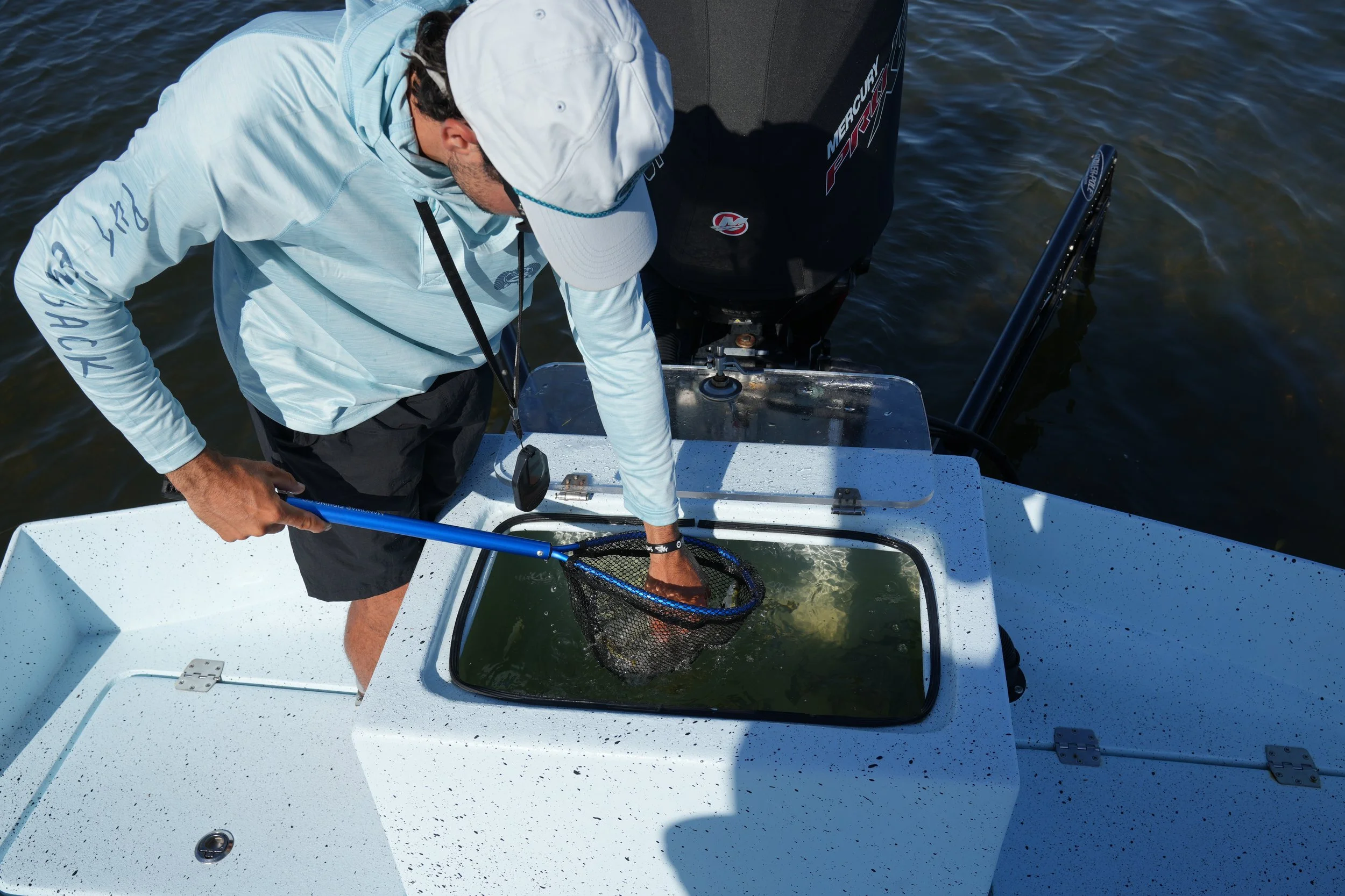 Captain JC netting live bait