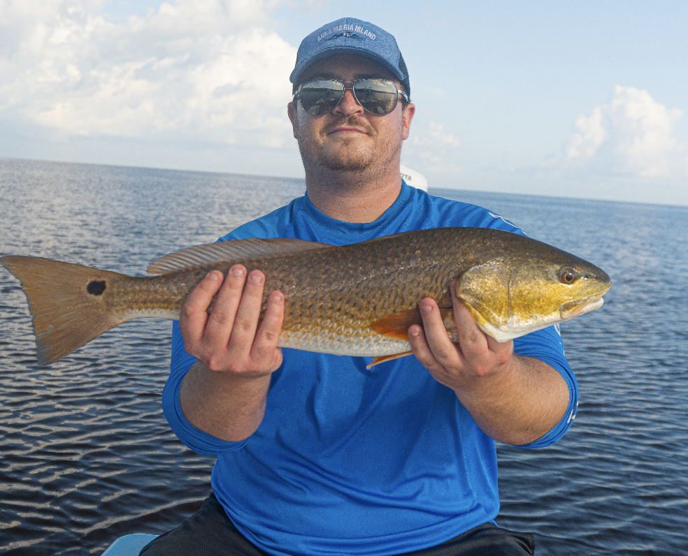 Inshore Fishing Charter in New Port Richey Florida Pasco County Redfish Snook Trout Sheepshead Fishing Report Fishing Trip Capt. Jason Cochran Port Richey Tampa Bay Fishing Charter for Redfish Snook Trout near me