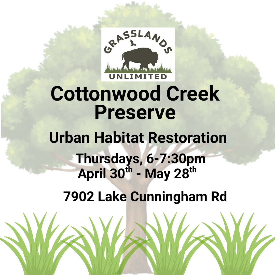 Cottonwood Creek Urban Habitat Restoration
