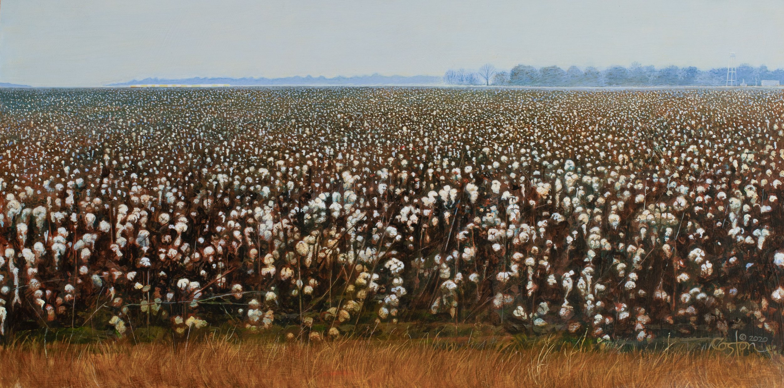 High Cotton
