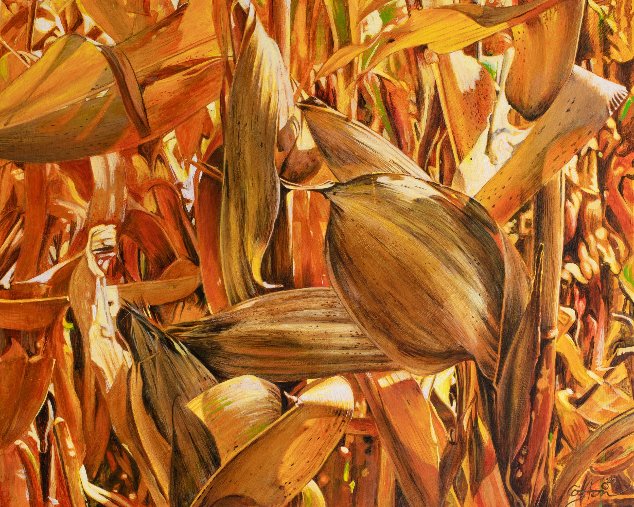 Golden Corn