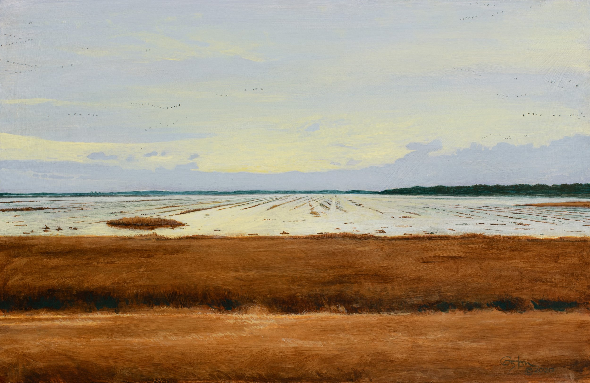 Flooded Field