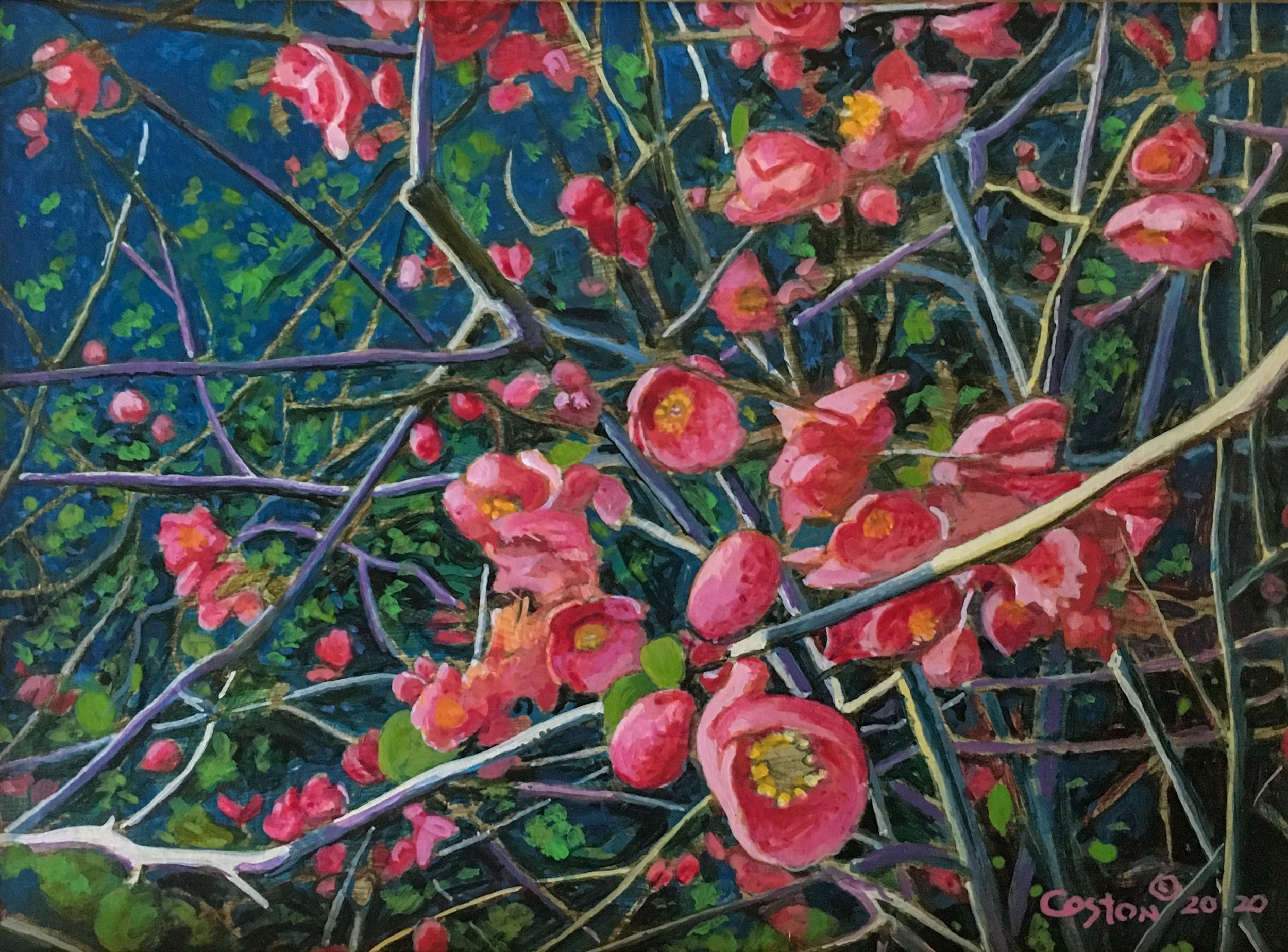 Japonica