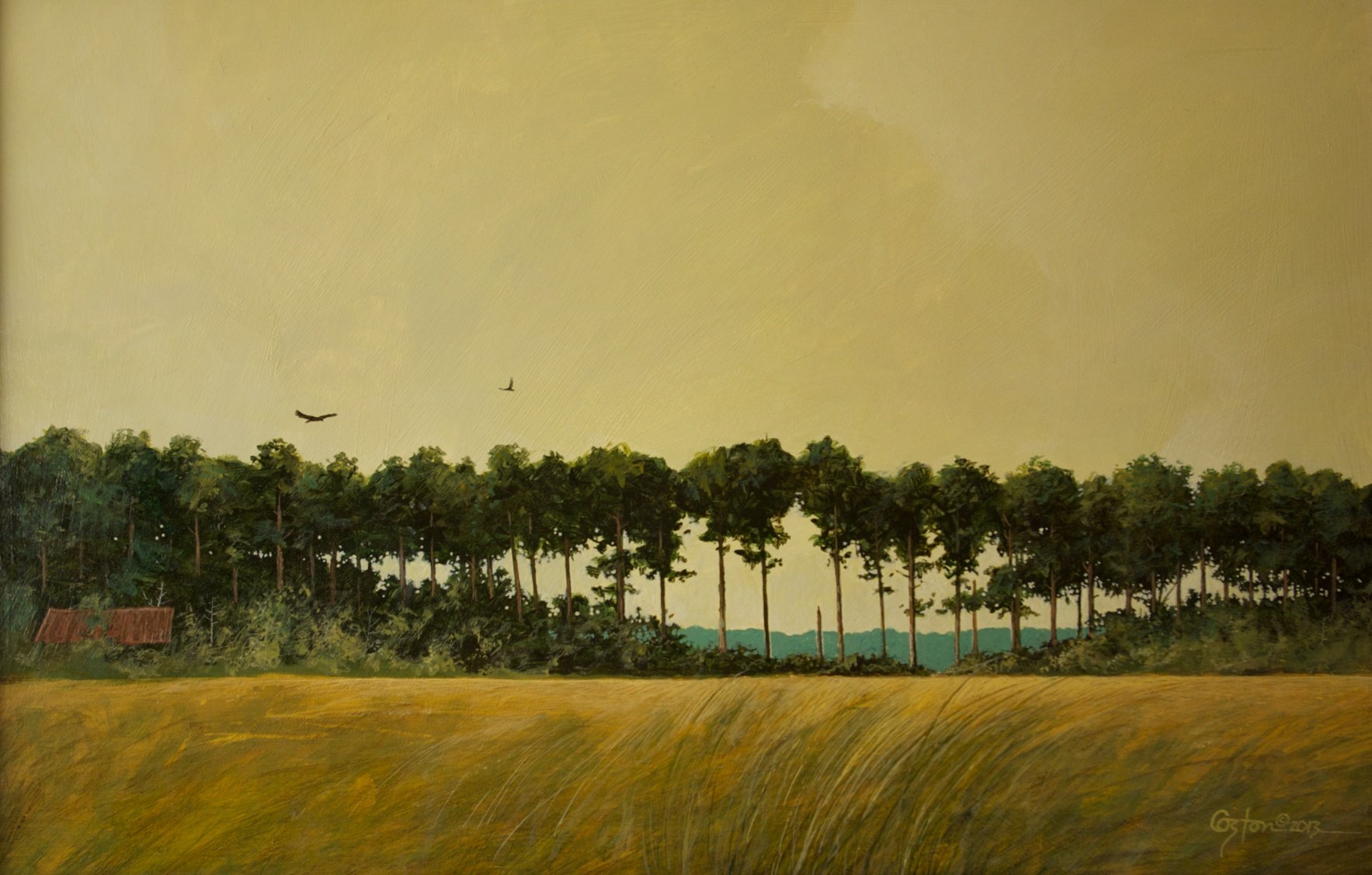 A Break in the Pines