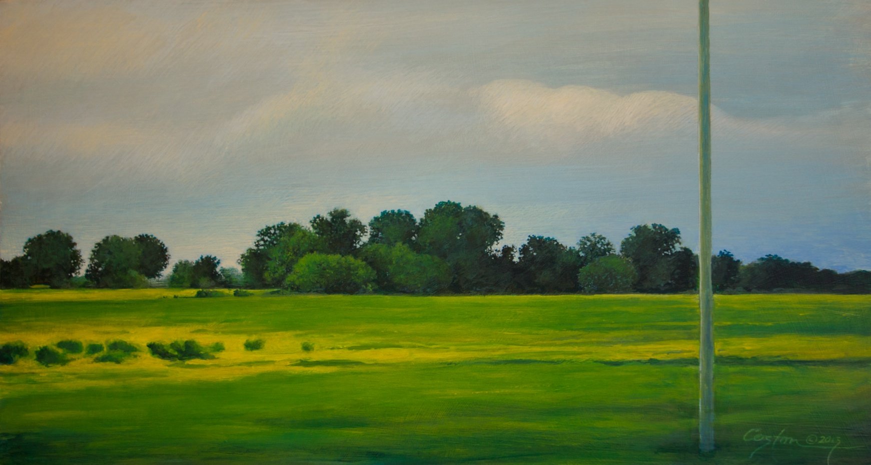 Yellow and Green Fields